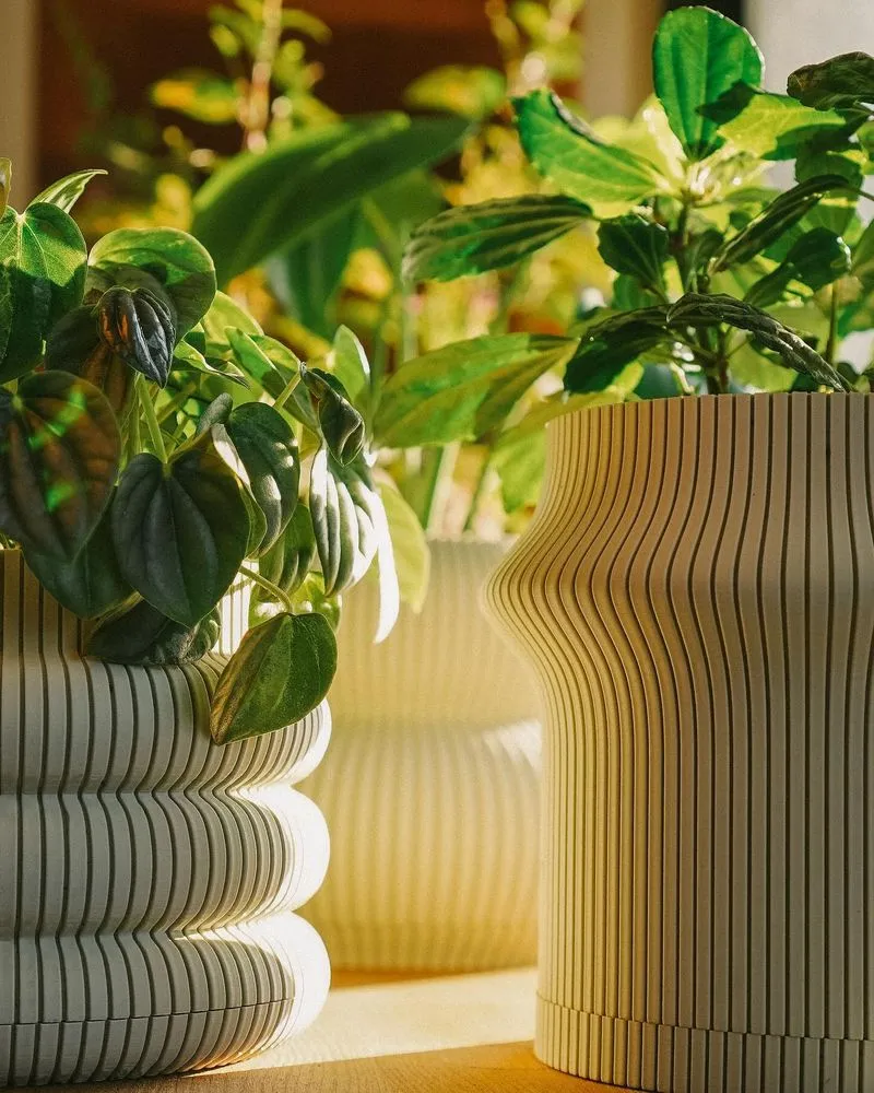 Three ribbed beige planters with leafy houseplants