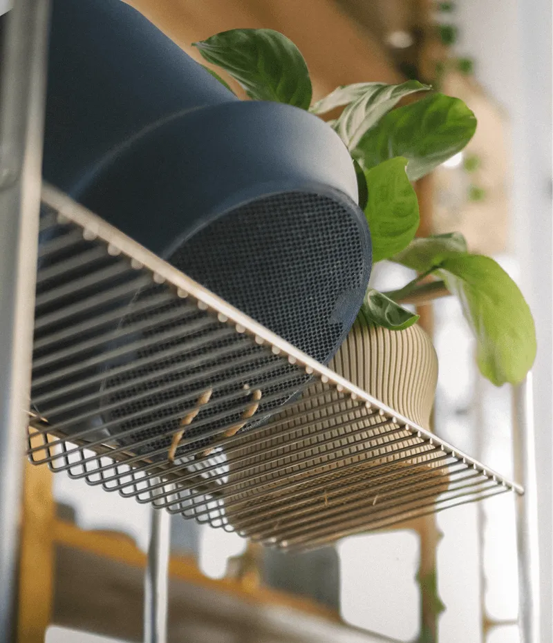 Two potted plants on a wire shelf, one in a blue planter