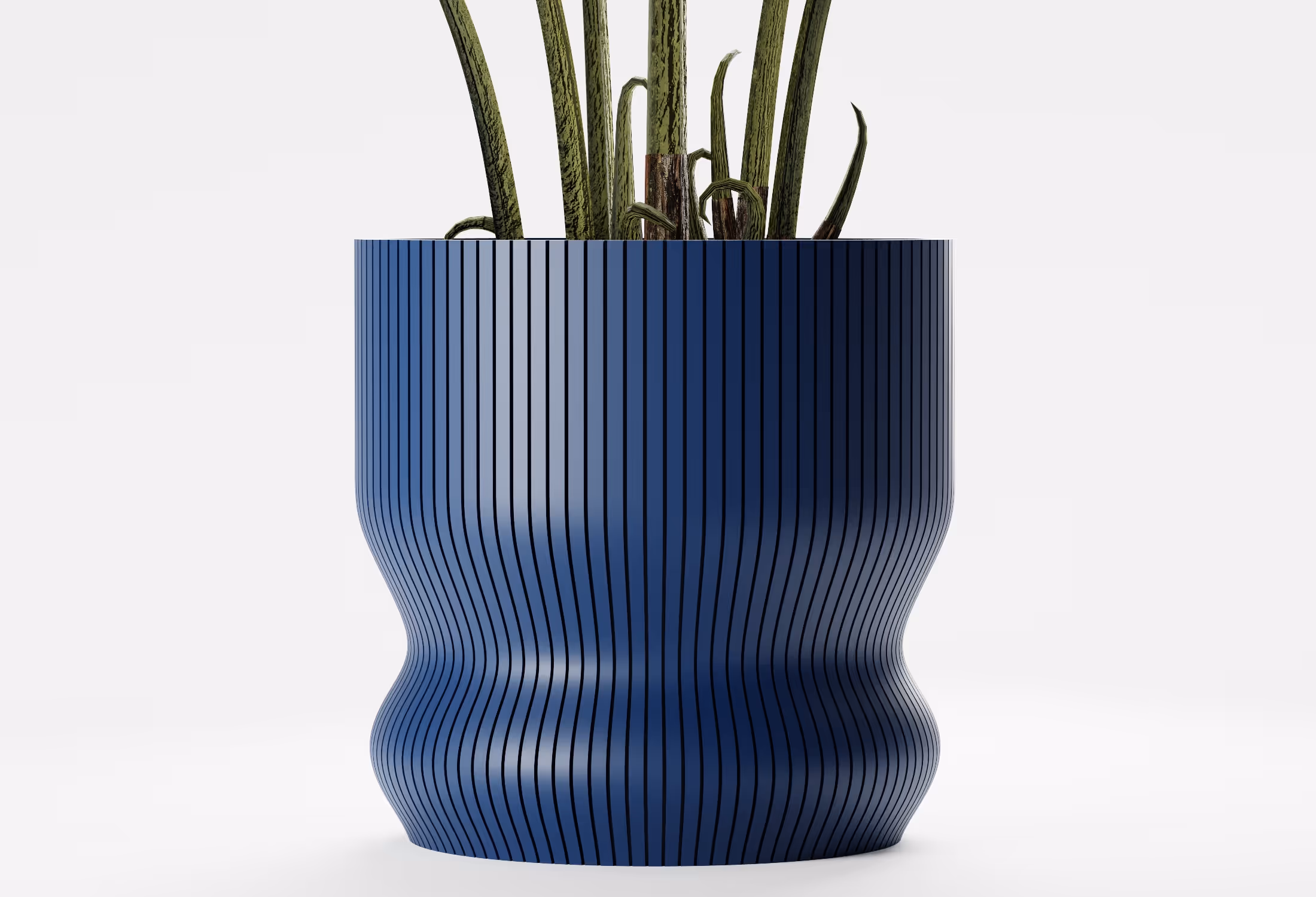Blue ribbed planter with tall green snake plant leaves inside on a white background.
