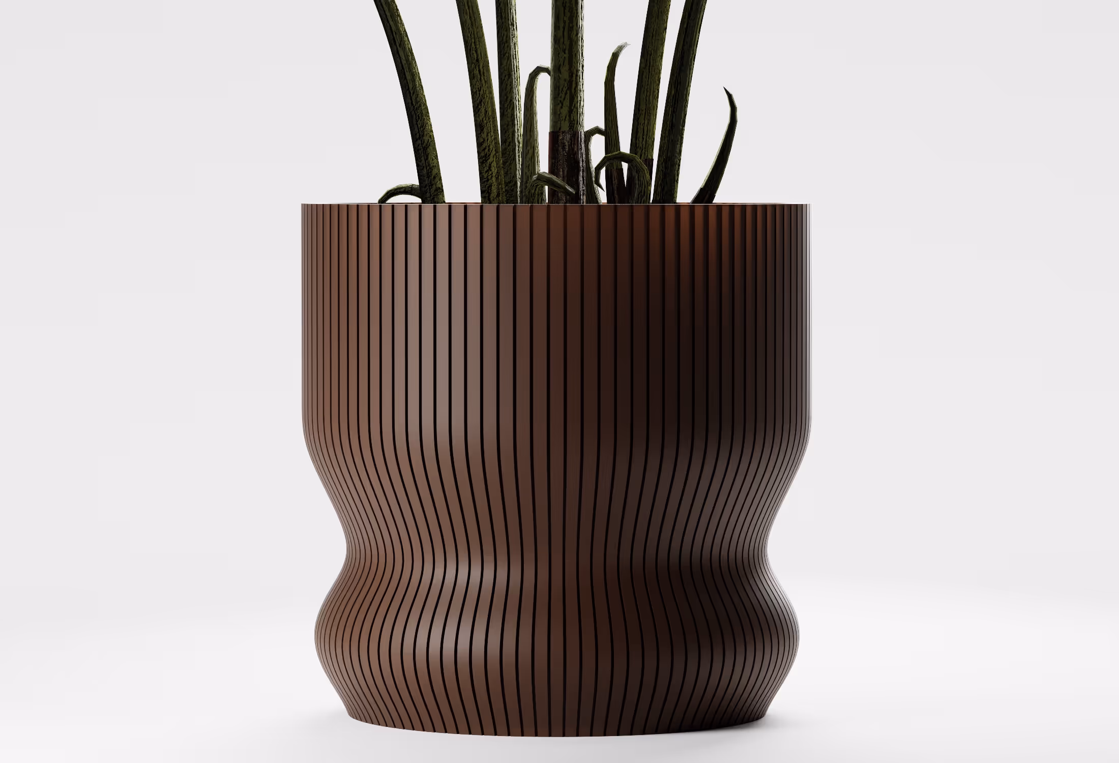Tall green snake plant leaves in a curvy dark brown vertical striped planter on white background.