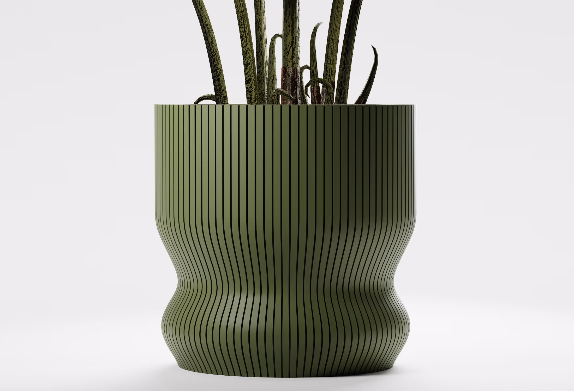 Tall green plant with long leaves in a green, vertically ridged wavy planter on white background.