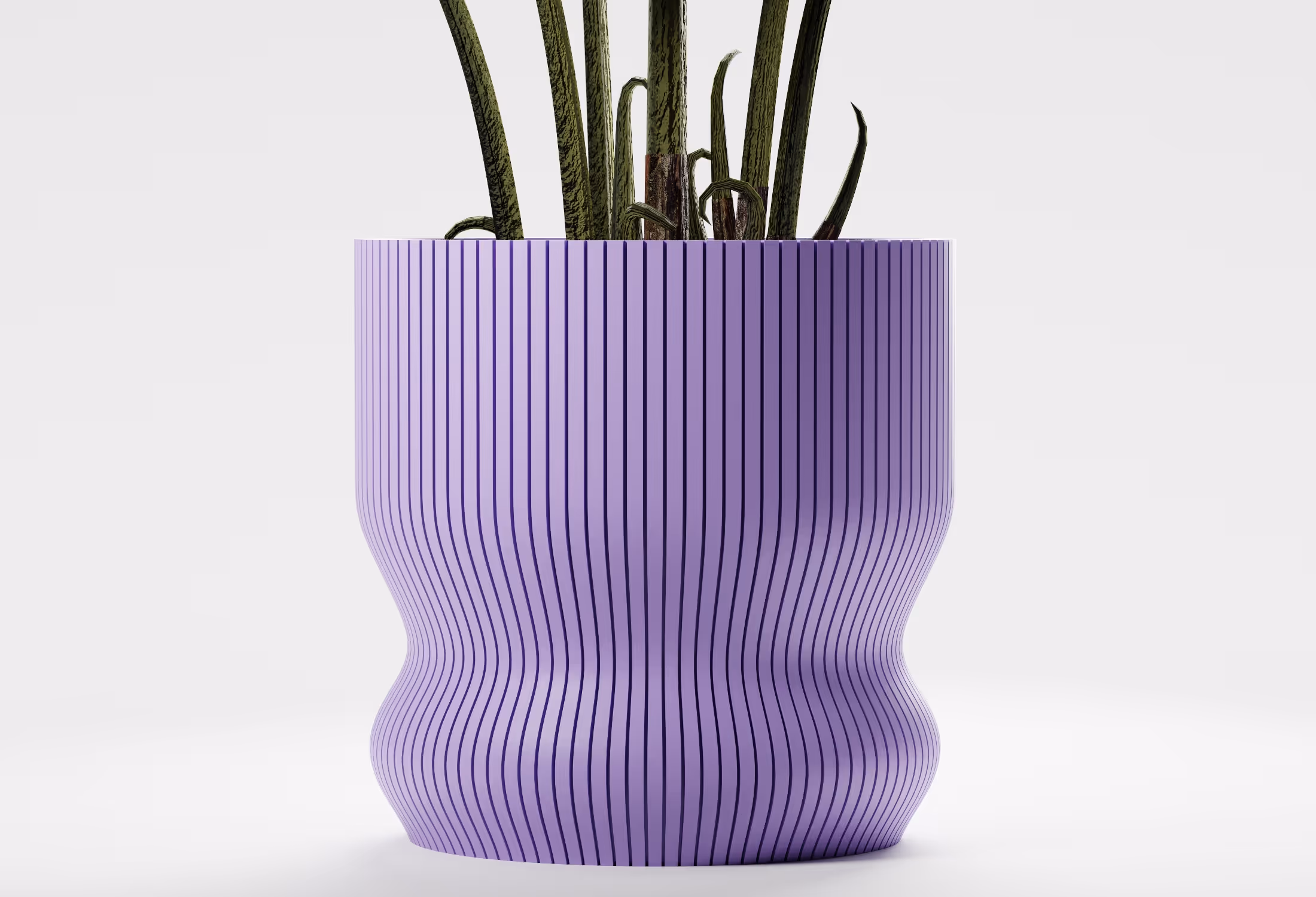 Purple wavy plant pot with thin vertical black stripes holding a tall green snake plant.