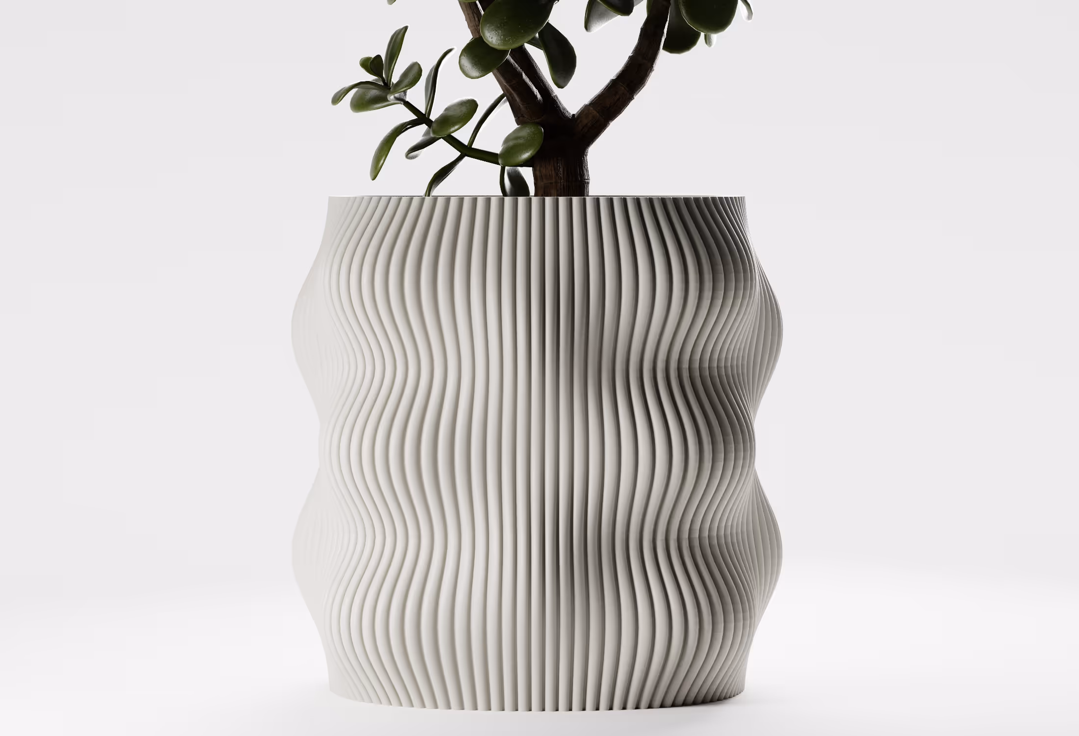 White ceramic plant pot with vertical wavy ridges holding a stem with green leaves.
