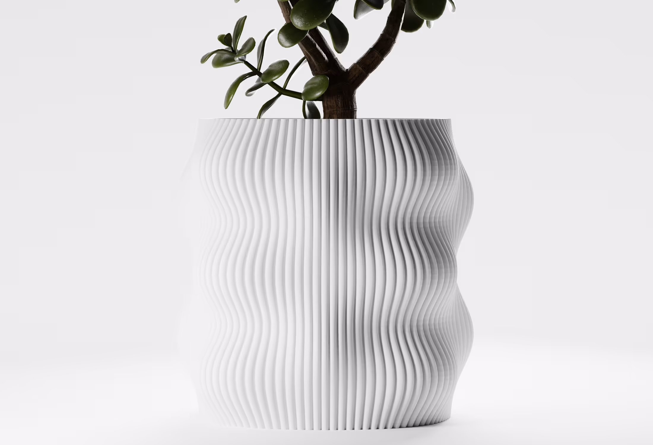 Green succulent plant in a modern white vase with wavy vertical ridges on a white background.