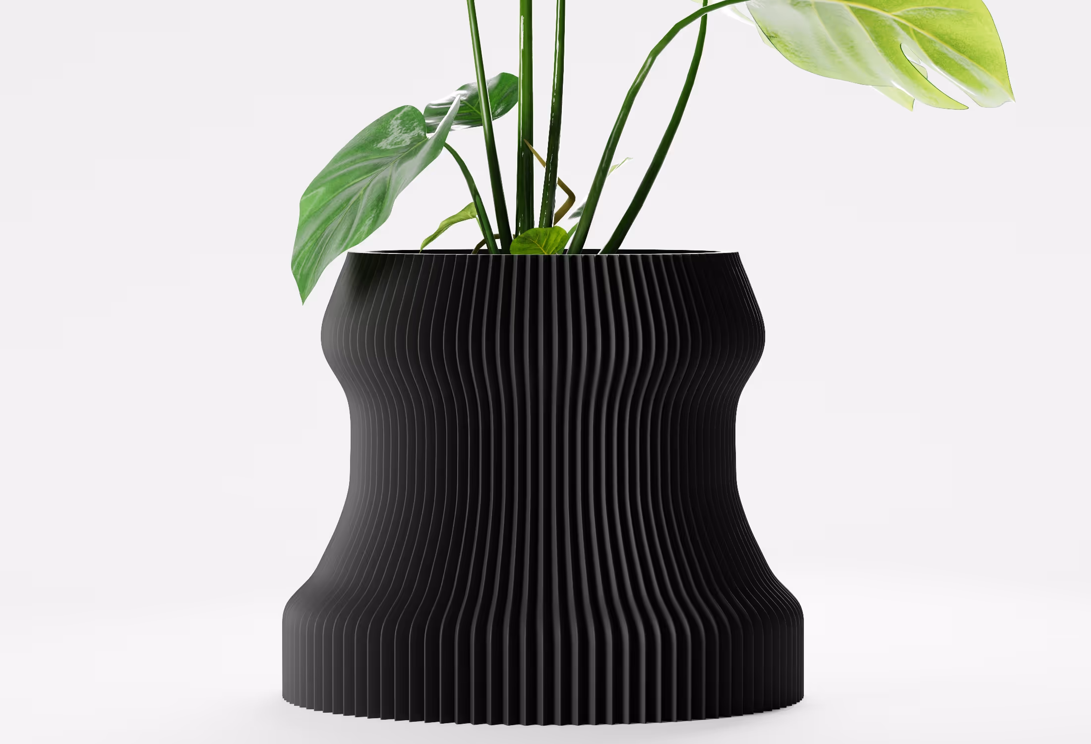 Black ribbed modern flower pot with green leafy plant on white background.