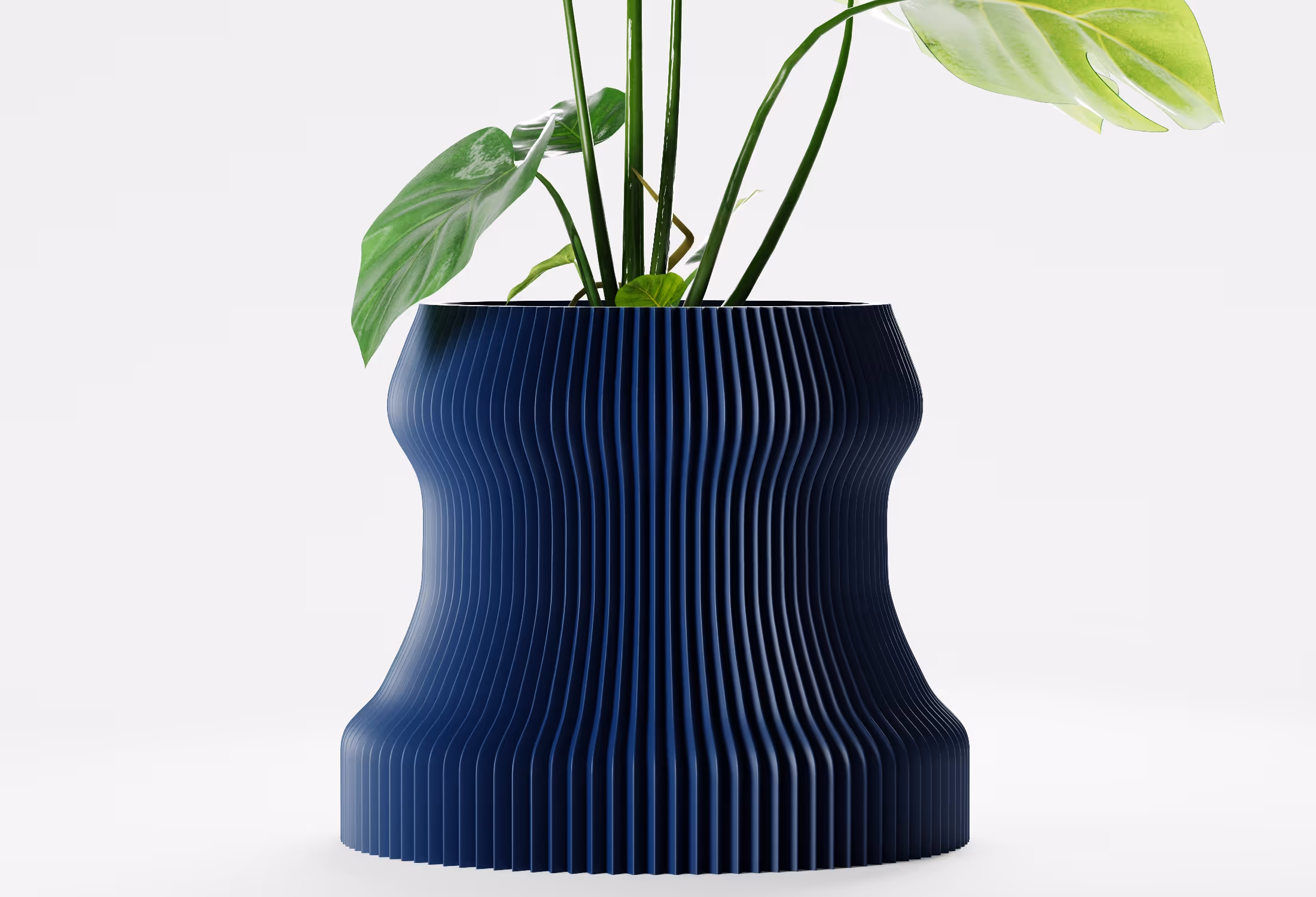 Dark Blue ribbed modern flower pot with green leafy plant on white background.