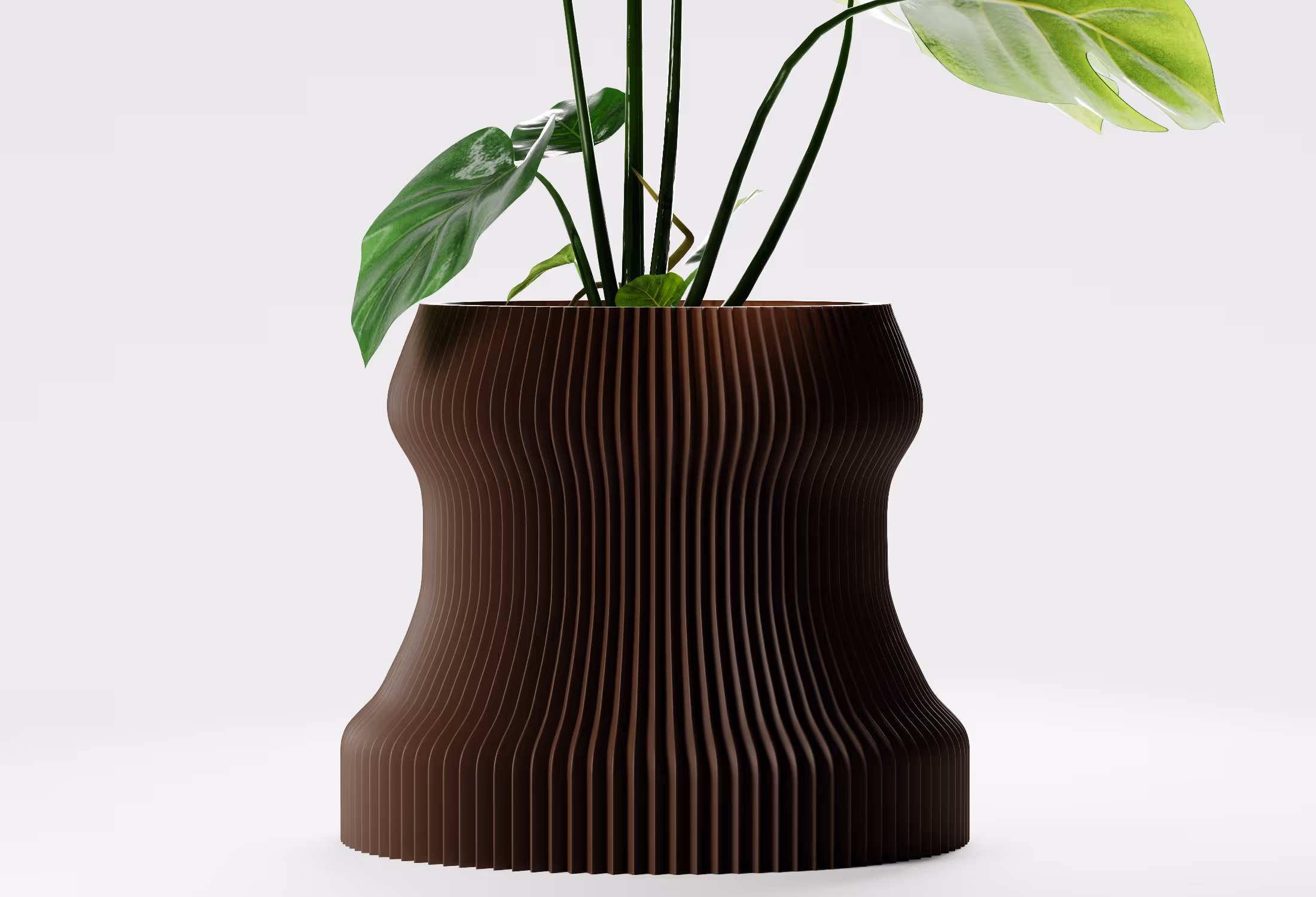 Dark brown ribbed modern flower pot with green leafy plant on white background.