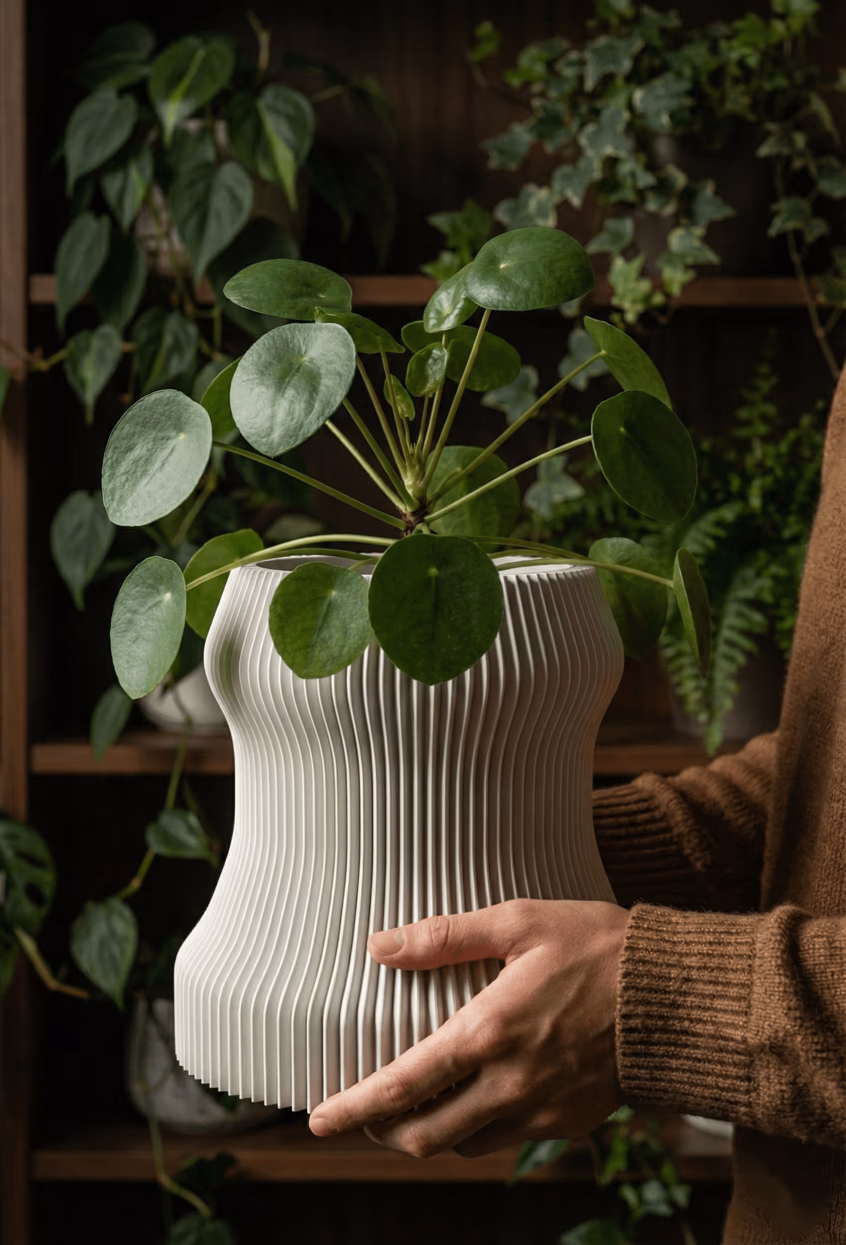 Hands holding a Pilea peperomioides plant in a white pleated ceramic pot indoors.