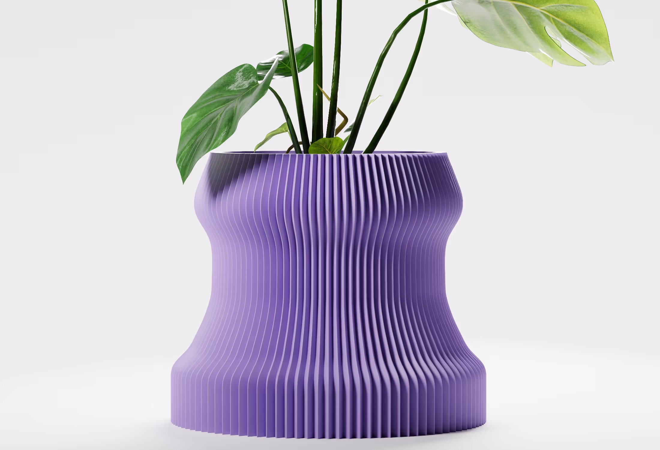Lilac ribbed modern flower pot with green leafy plant on white background.