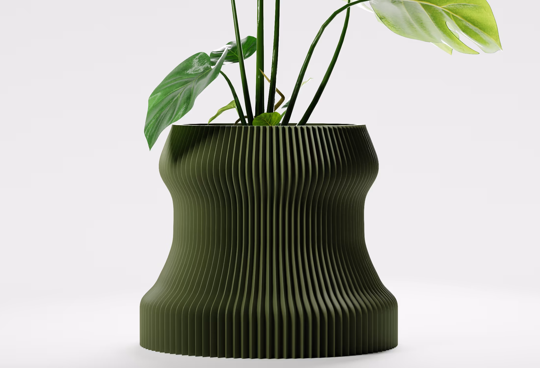 Olive Green ribbed modern flower pot with green leafy plant on white background.