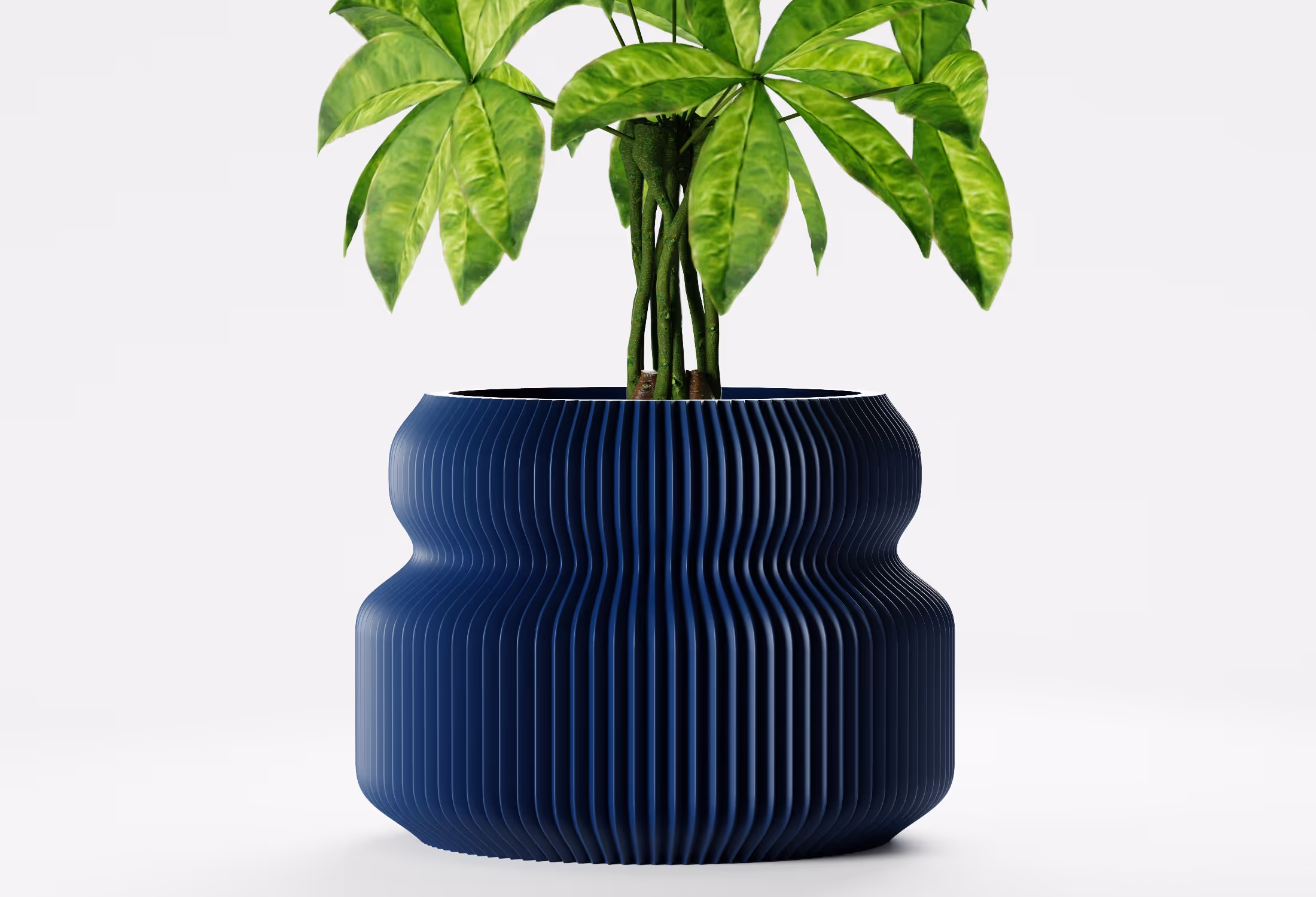 Green leafy plant in a textured, ribbed blue-colored pot with a wavy shape on a white background.