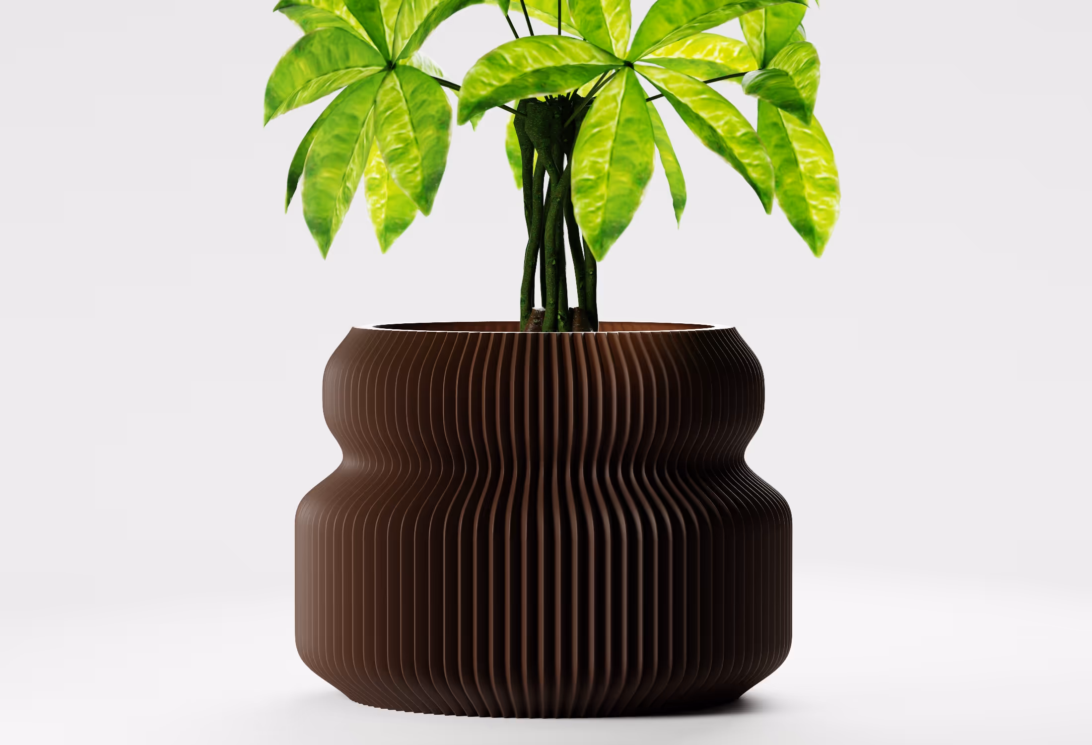 Green leafy plant in a textured, ribbed brown-colored pot with a wavy shape on a white background.