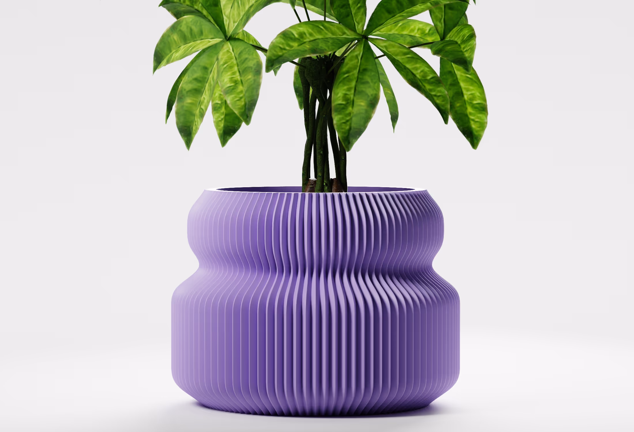 Green leafy plant in a textured, ribbed lilac-colored pot with a wavy shape on a white background.