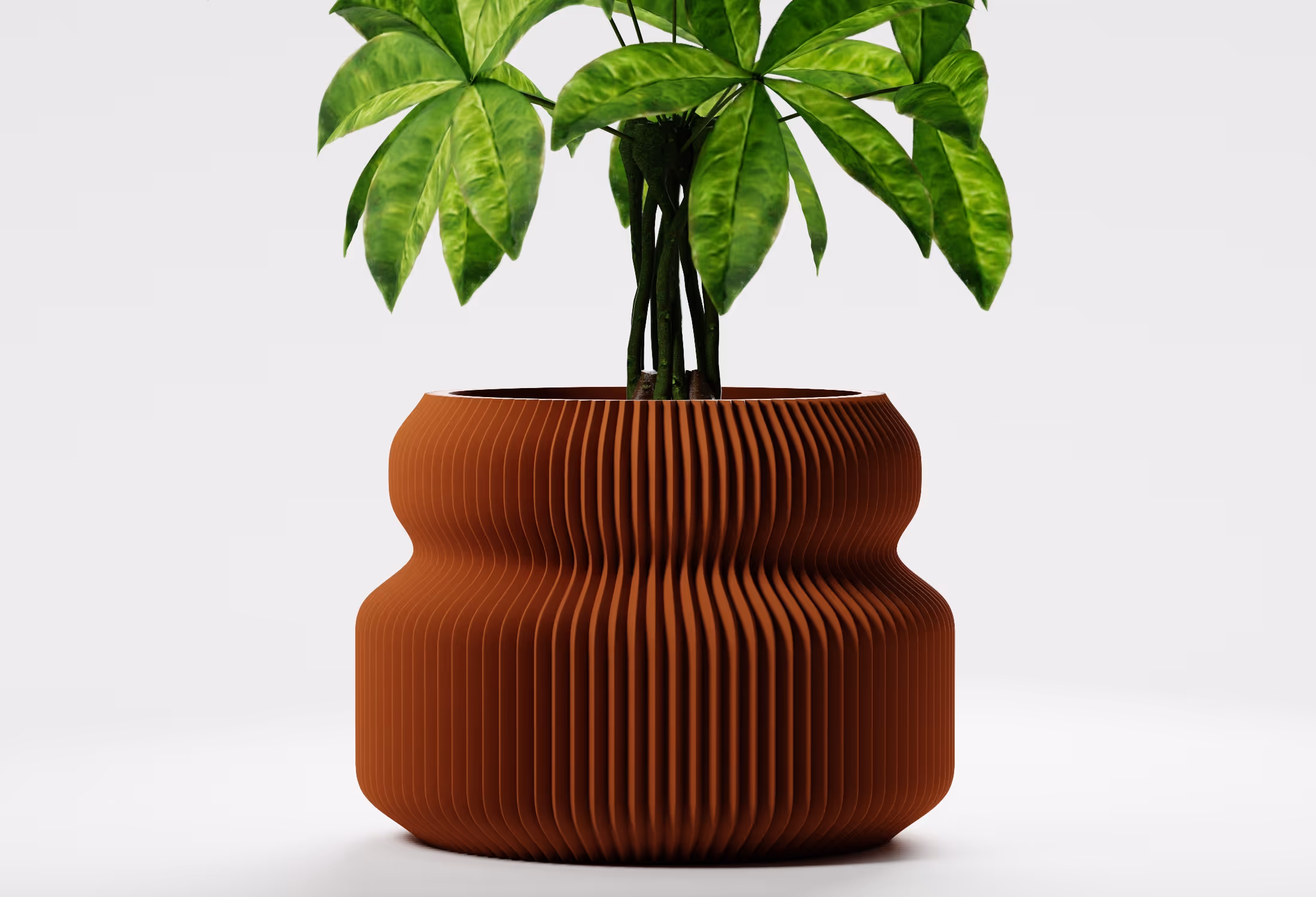 Green leafy plant in a textured, ribbed terracotta-colored pot with a wavy shape on a white background.