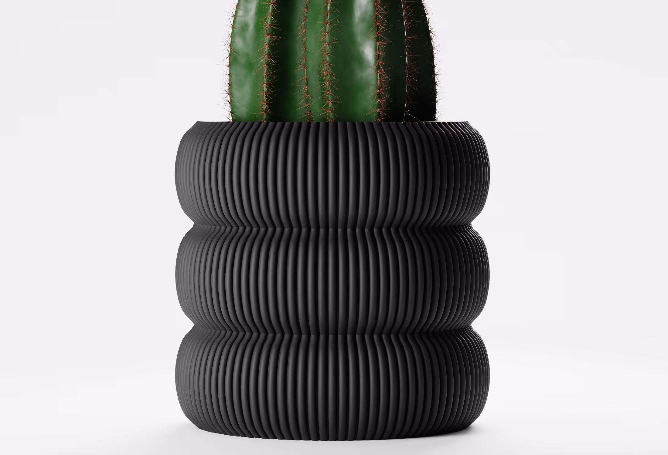 Close-up of a green cactus in a black ribbed, cylindrical planter against a plain white background.