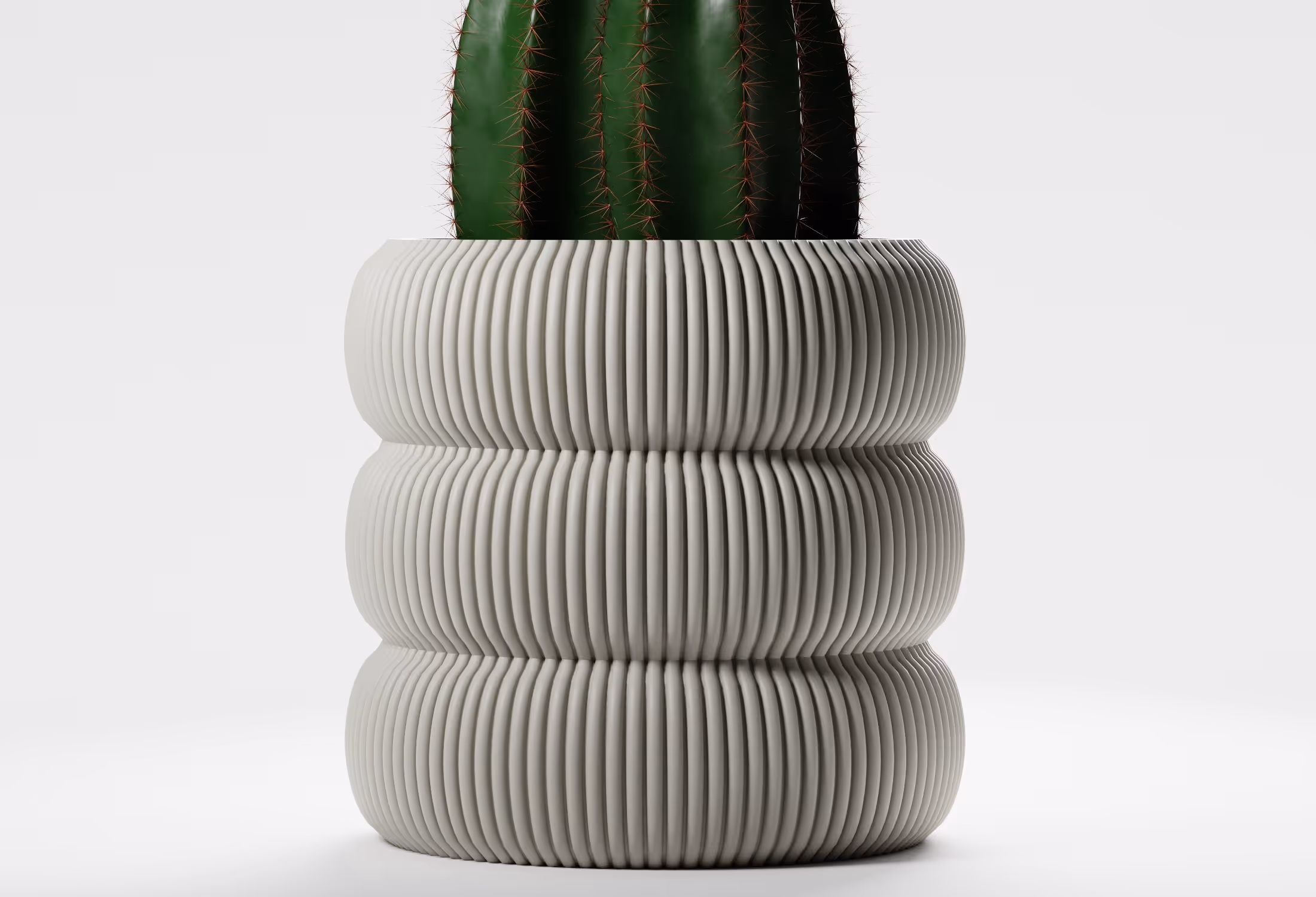Green cactus with red spines planted in a textured, ribbed ceramic pot on a white background.