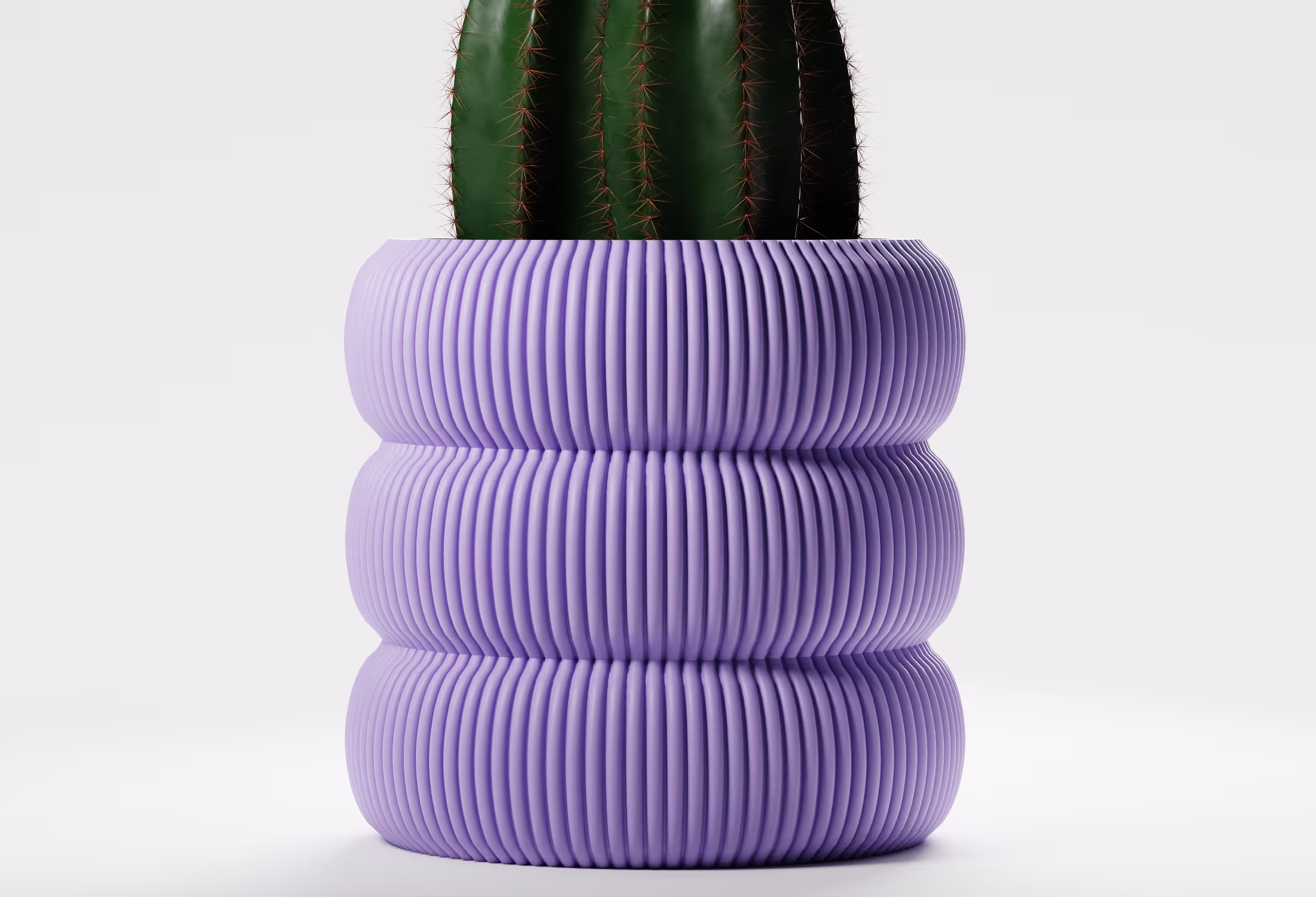 Close-up of a green cactus in a lilac ribbed, cylindrical planter against a plain white background.