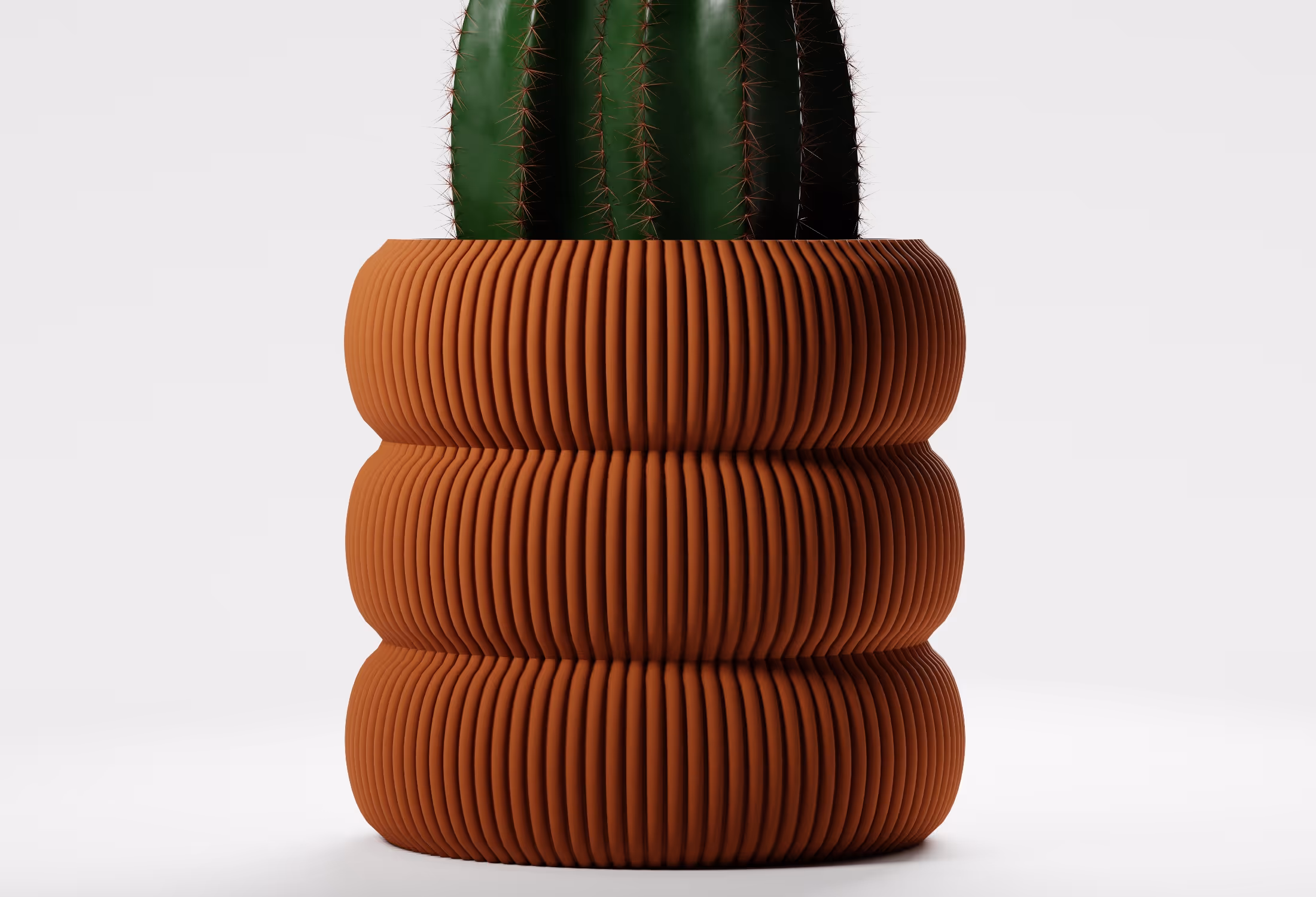 Close-up of a green cactus in a terracotta ribbed, cylindrical planter against a plain white background.