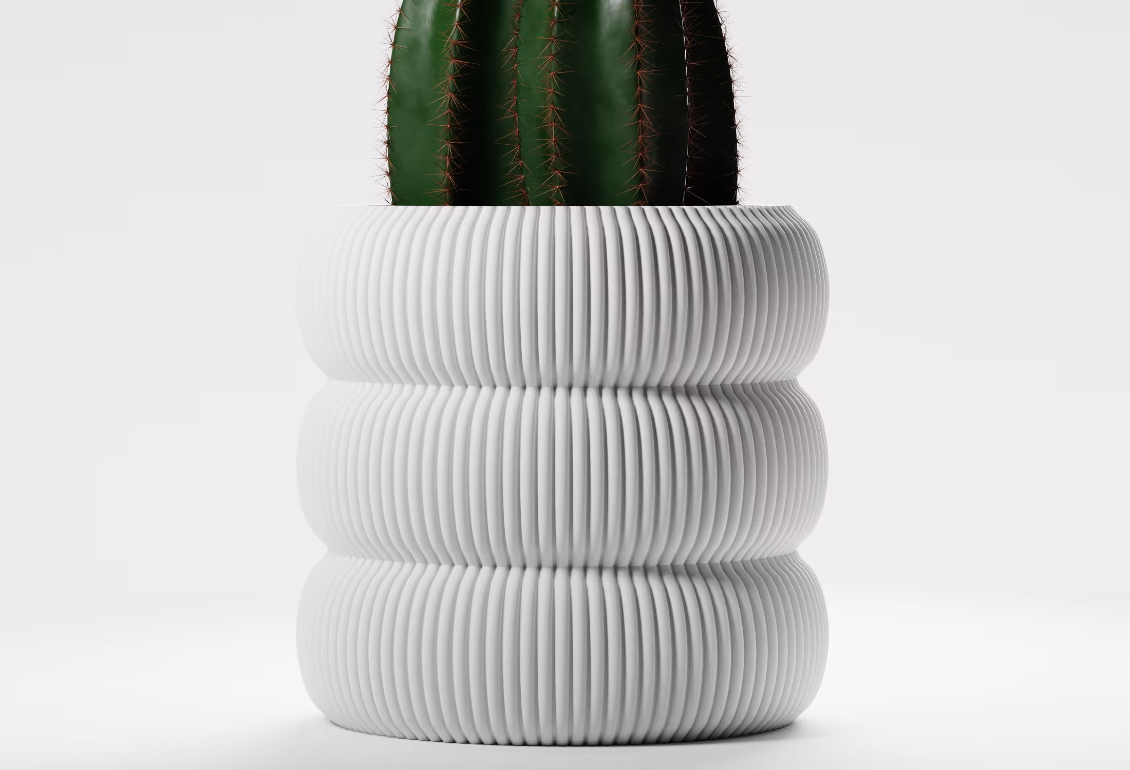 Close-up of a green cactus in a white ribbed, cylindrical planter against a plain white background.