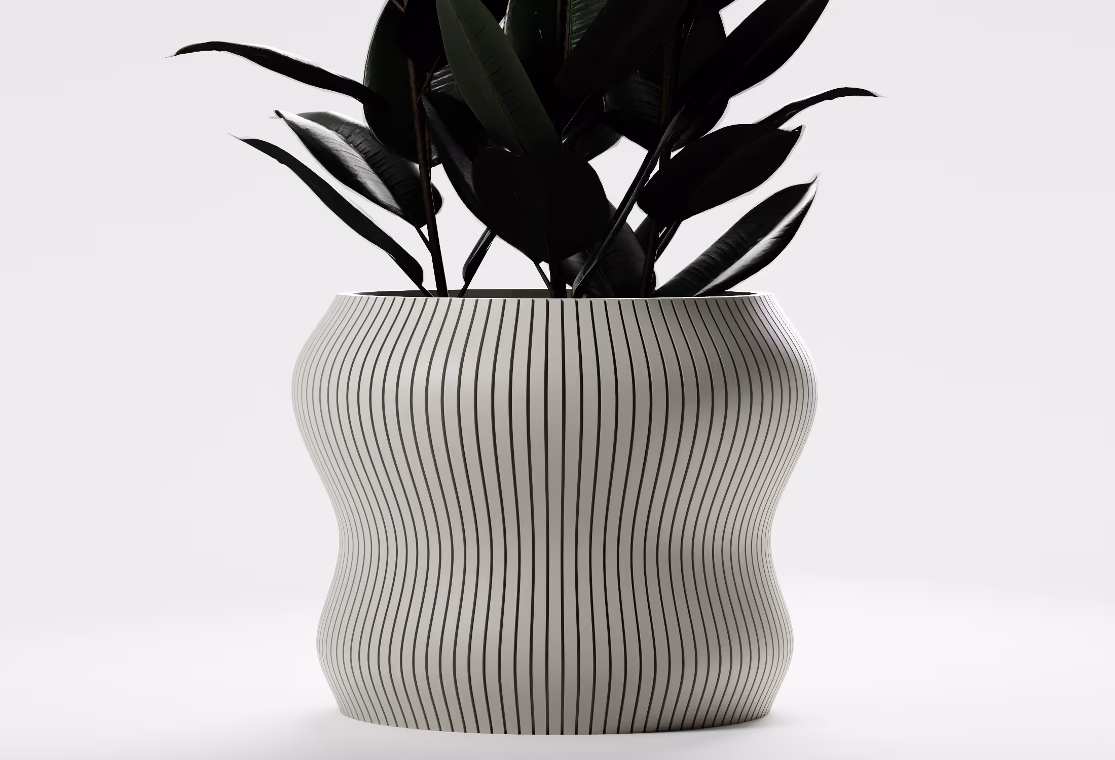 Curvy, striped ceramic planter holding dark green broad-leafed plant on white background.