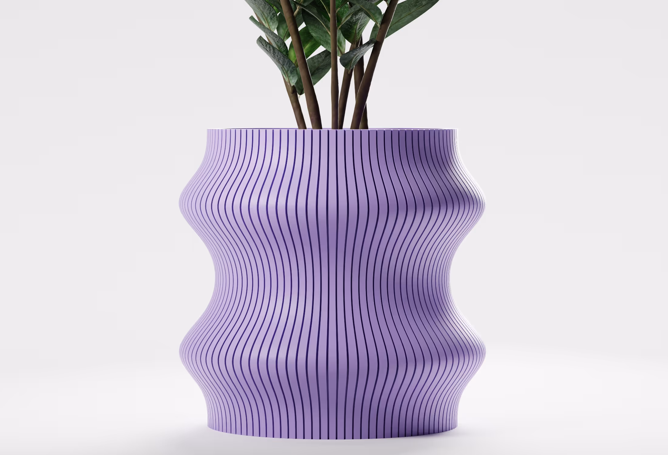 Curvy lilac flowerpot with vertical dark stripes holding green leafy plant.