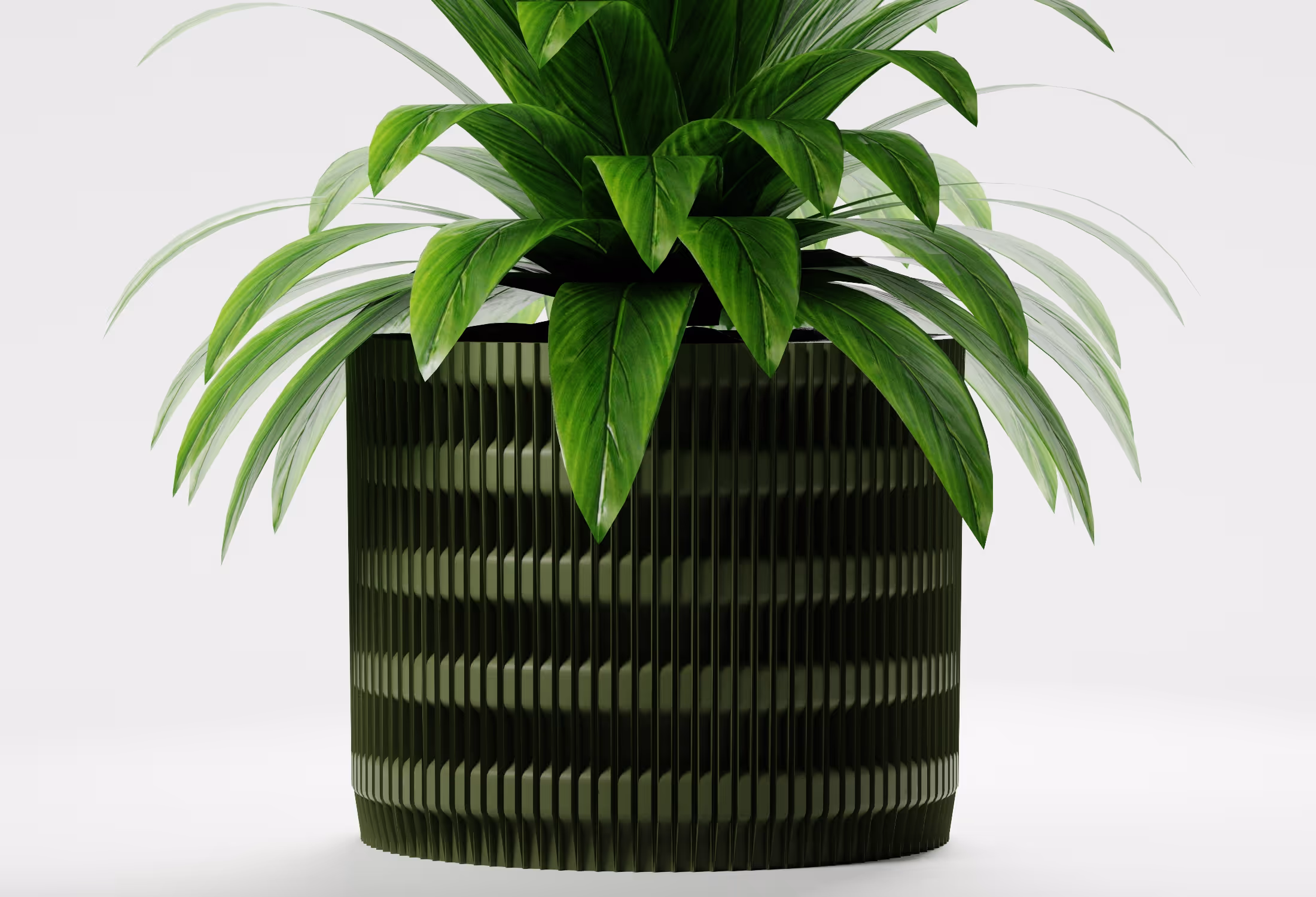 Olive Green cylindrical planter with vertical fluted texture and geometric detailing, shown front-on with a leafy indoor plant against a light grey background.
