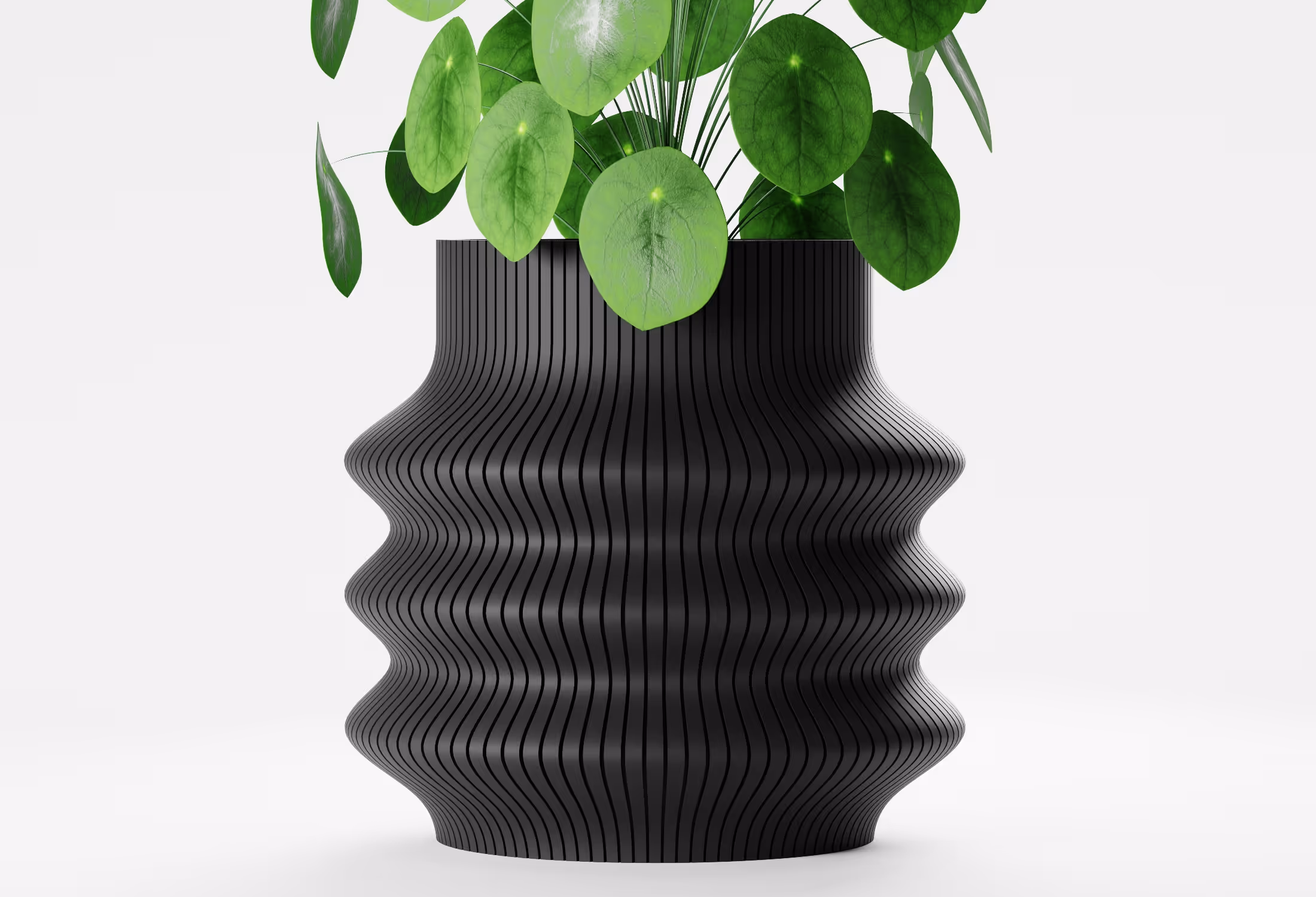 Black tall wavy planter with flowing vertical ribbed detailing and a sculptural silhouette, shown front-on with a round-leaf indoor plant against a light grey background.