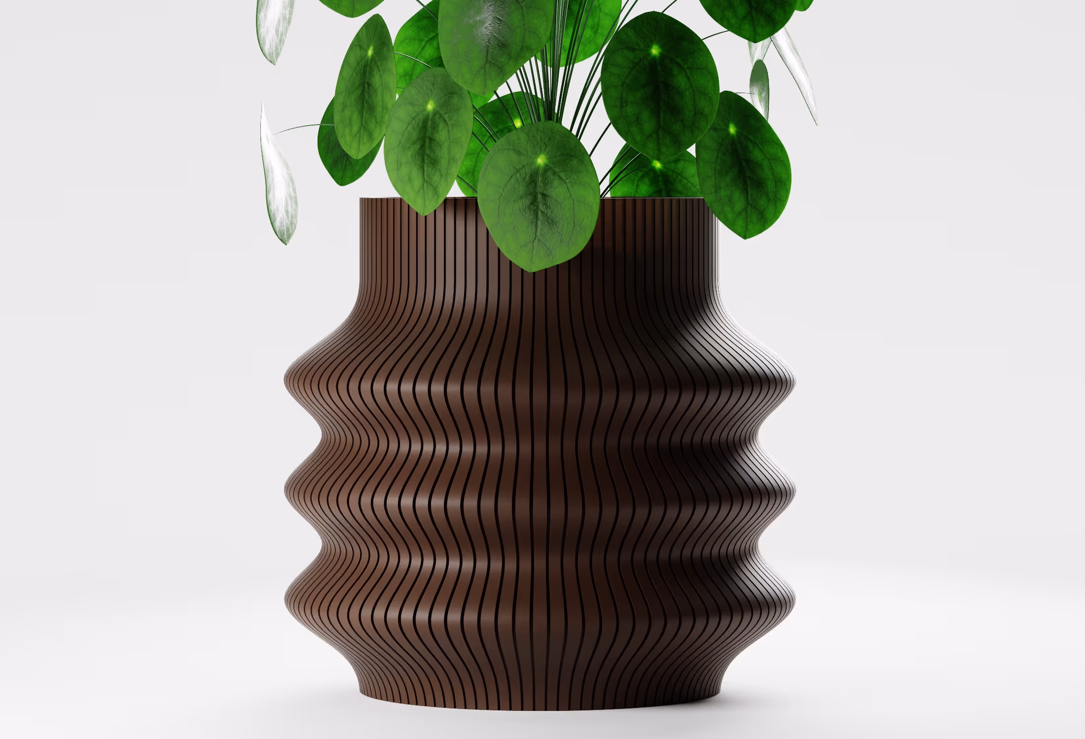 Dark Brown tall wavy planter with flowing vertical ribbed detailing and a sculptural silhouette, shown front-on with a round-leaf indoor plant against a light grey background.