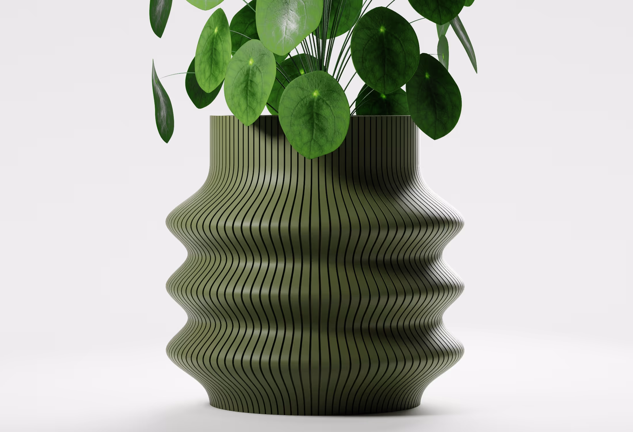 Olive Green tall wavy planter with flowing vertical ribbed detailing and a sculptural silhouette, shown front-on with a round-leaf indoor plant against a light grey background.