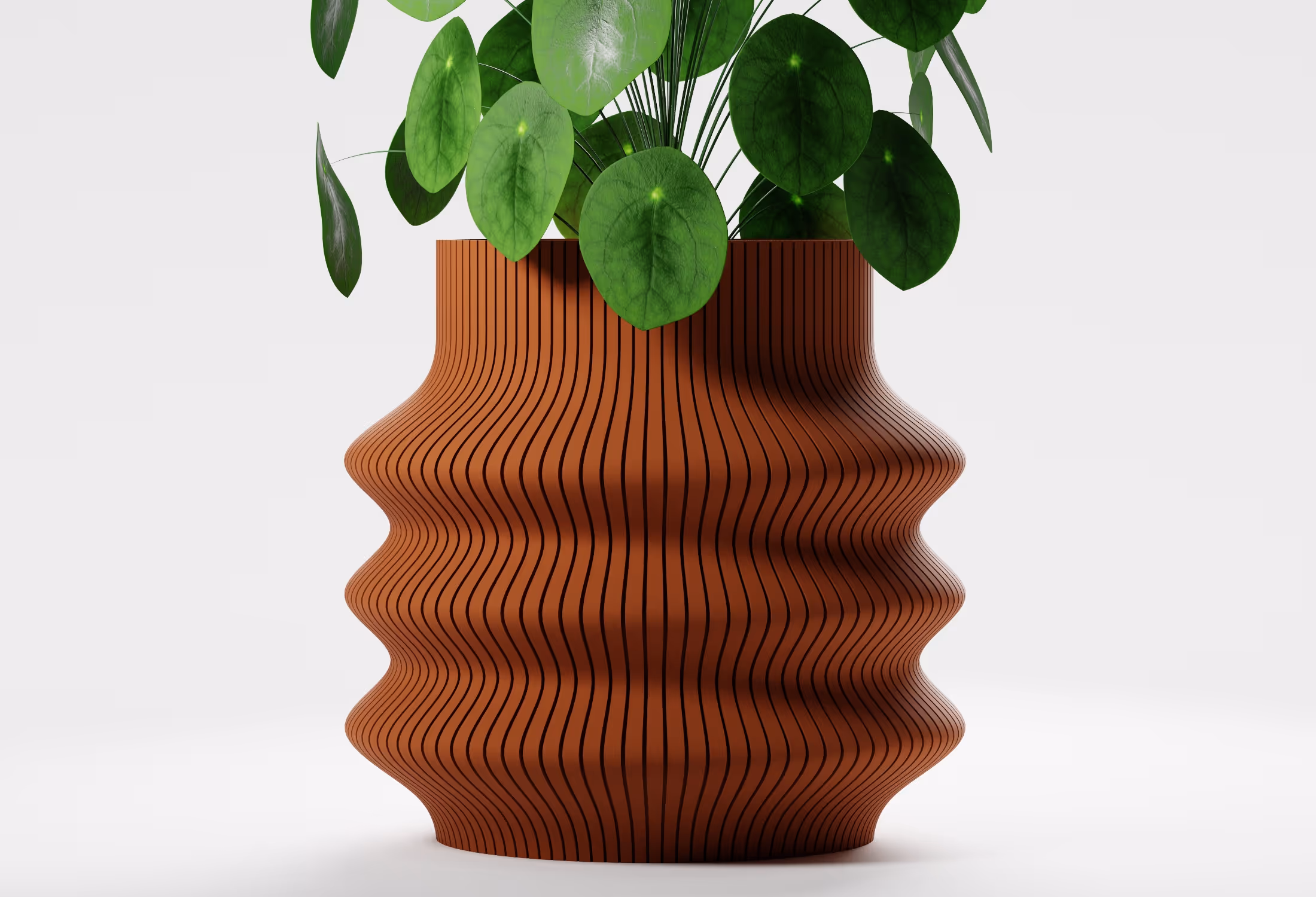 Terracotta tall wavy planter with flowing vertical ribbed detailing and a sculptural silhouette, shown front-on with a round-leaf indoor plant against a light grey background.