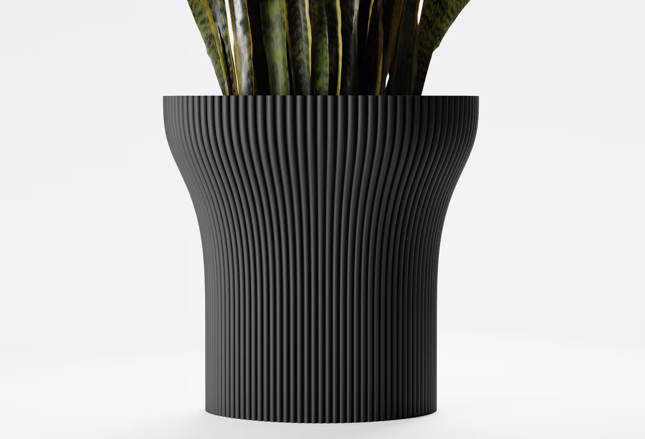 Black tall tapered planter with fine vertical ribbed detailing and a gently flared silhouette, shown front-on with a snake plant against a light grey background.