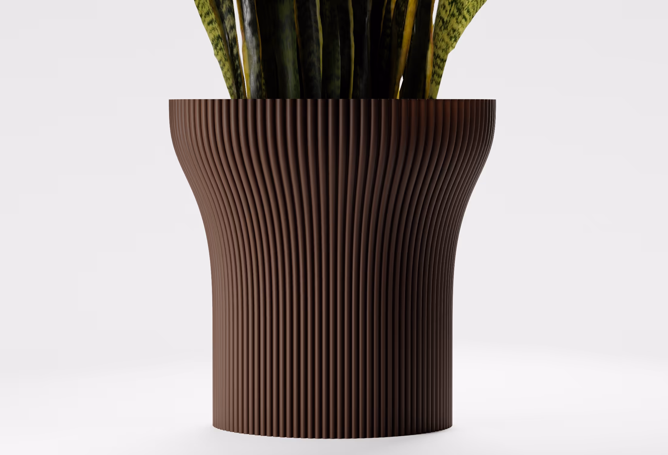 Dark Brown tall tapered planter with fine vertical ribbed detailing and a gently flared silhouette, shown front-on with a snake plant against a light grey background.