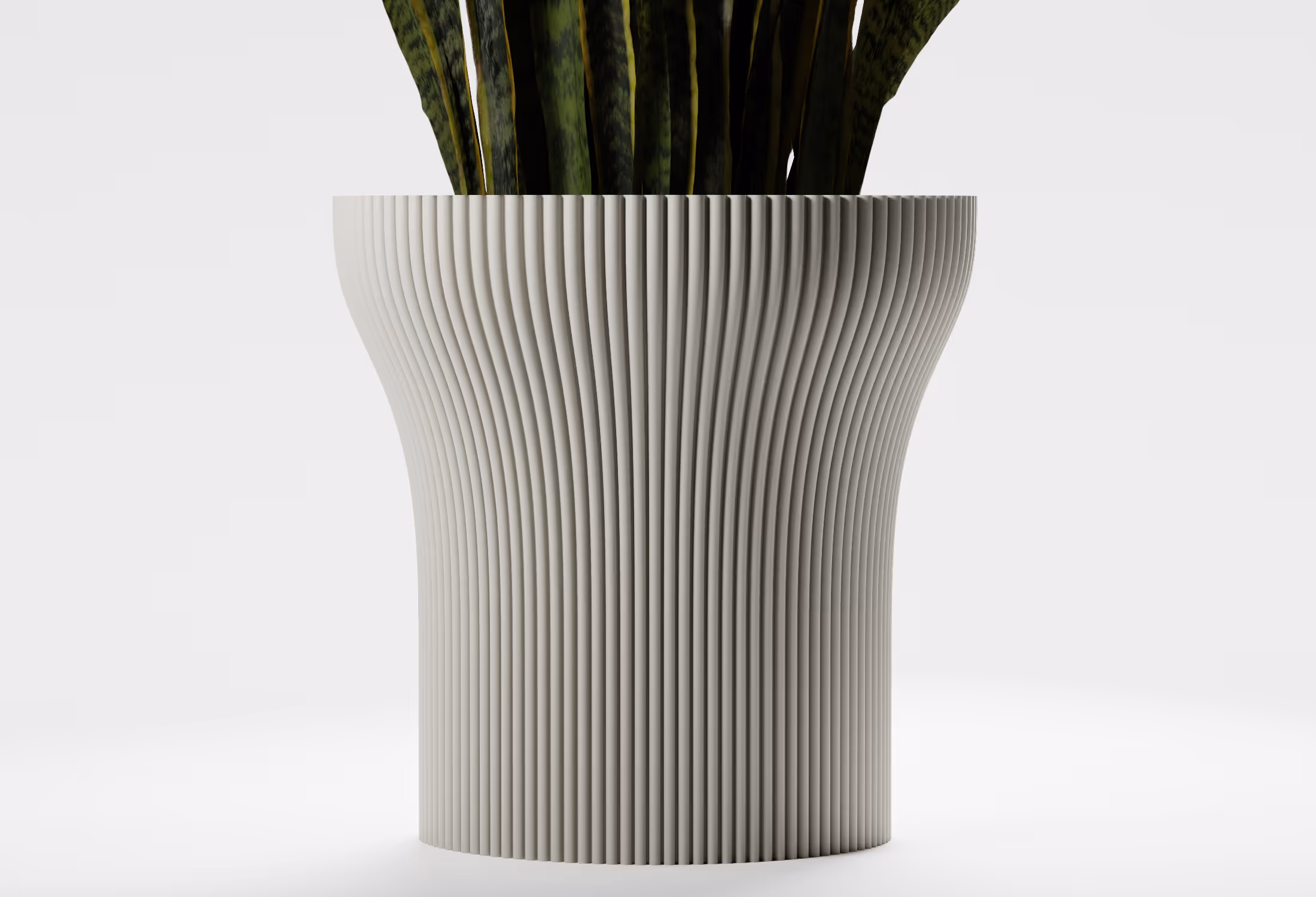 Modern ribbed white planter pot with green snake plant leaves on a white background.