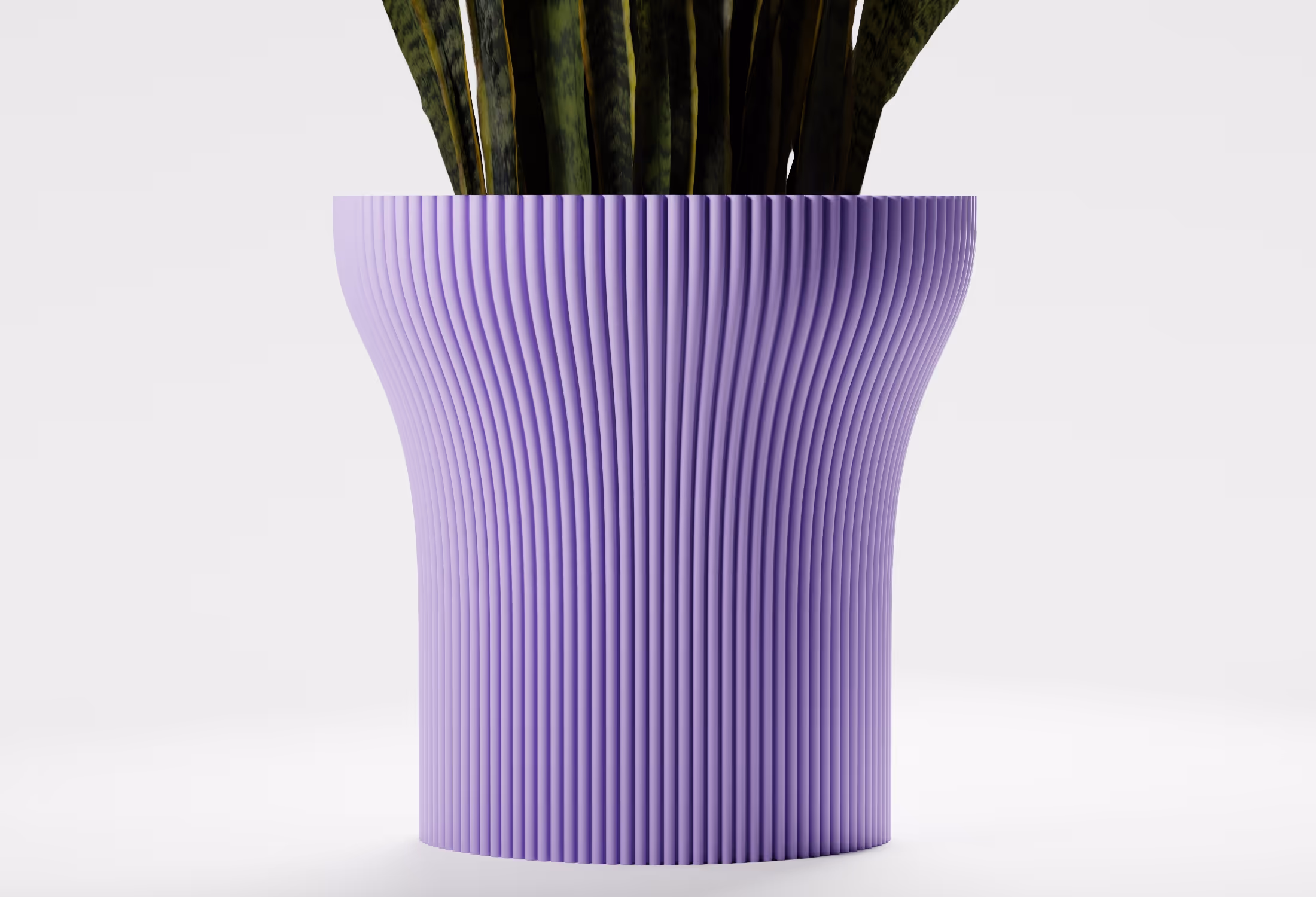 Tall purple ribbed planter holding a snake plant with long green leaves against white background.