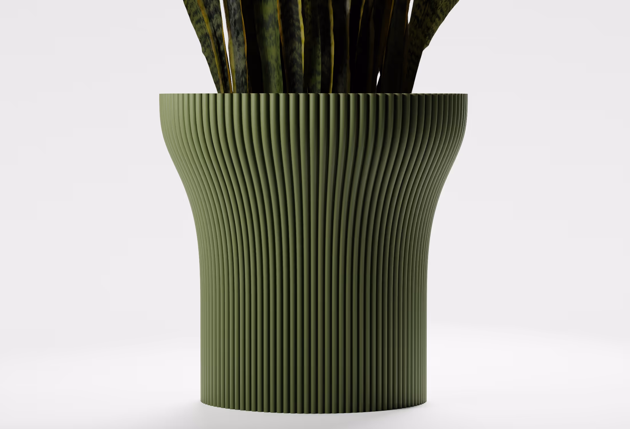 Dark Green tall tapered planter with fine vertical ribbed detailing and a gently flared silhouette, shown front-on with a snake plant against a light grey background.