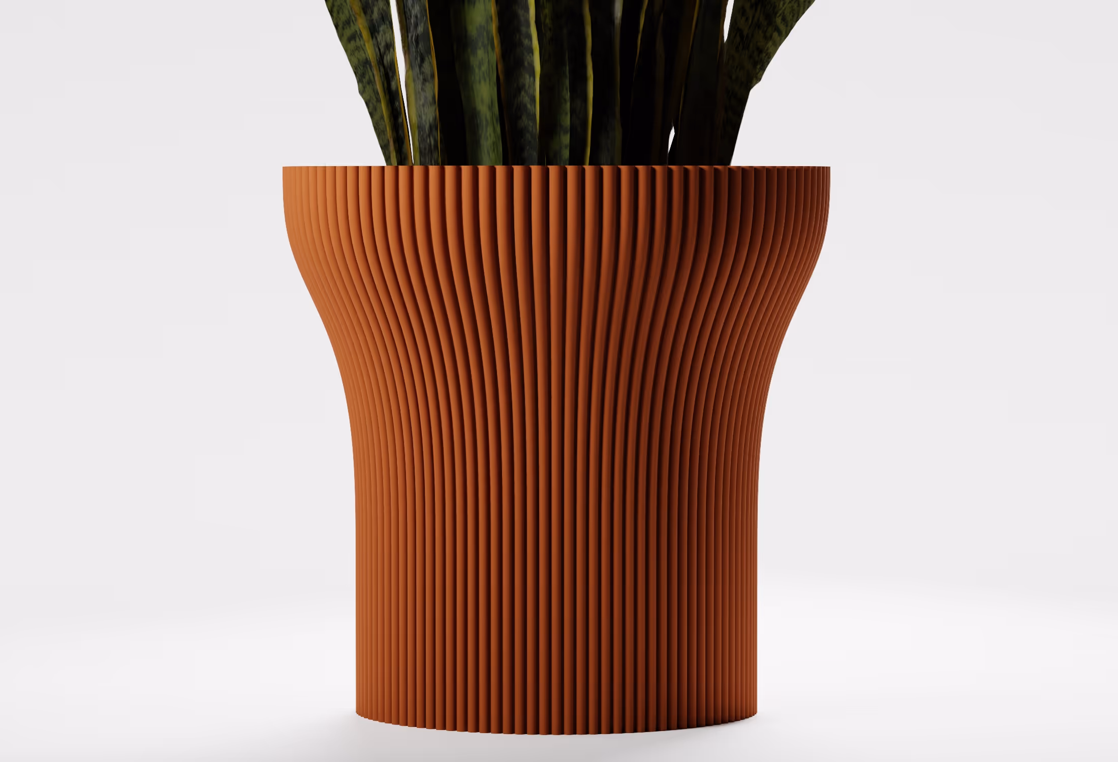 Terracotta tall tapered planter with fine vertical ribbed detailing and a gently flared silhouette, shown front-on with a snake plant against a light grey background.