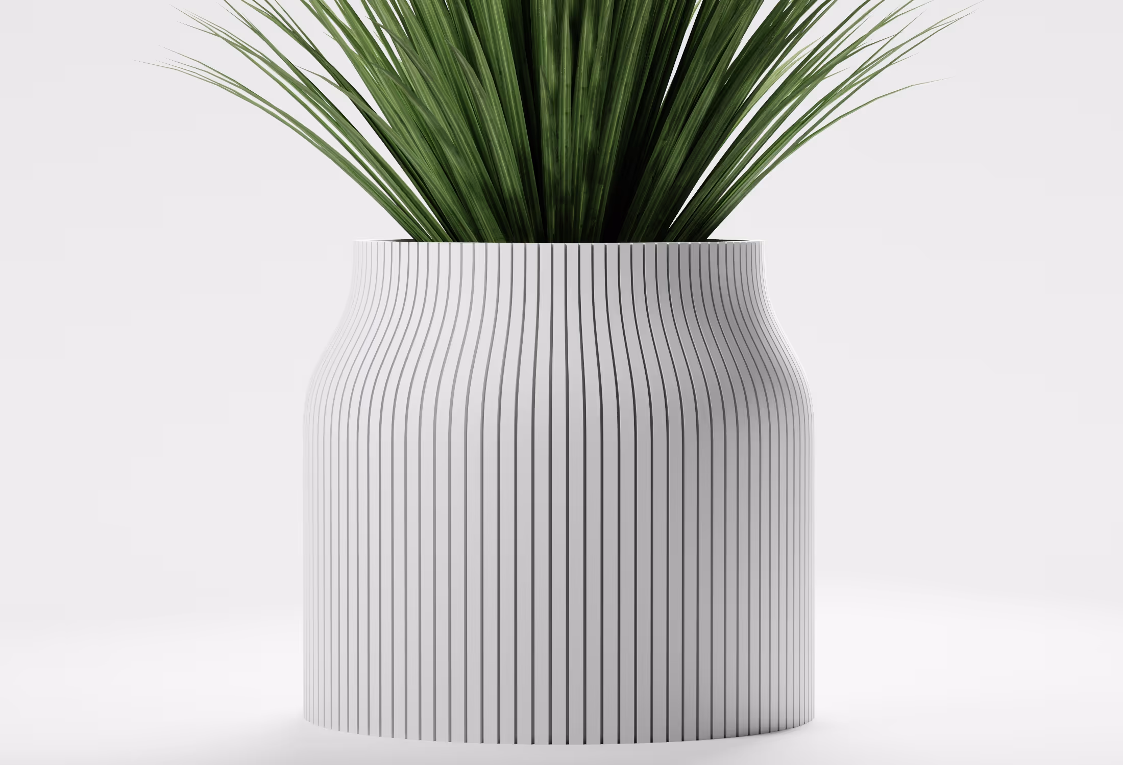 White vase with thin vertical black stripes holding green grass-like plant on white background.