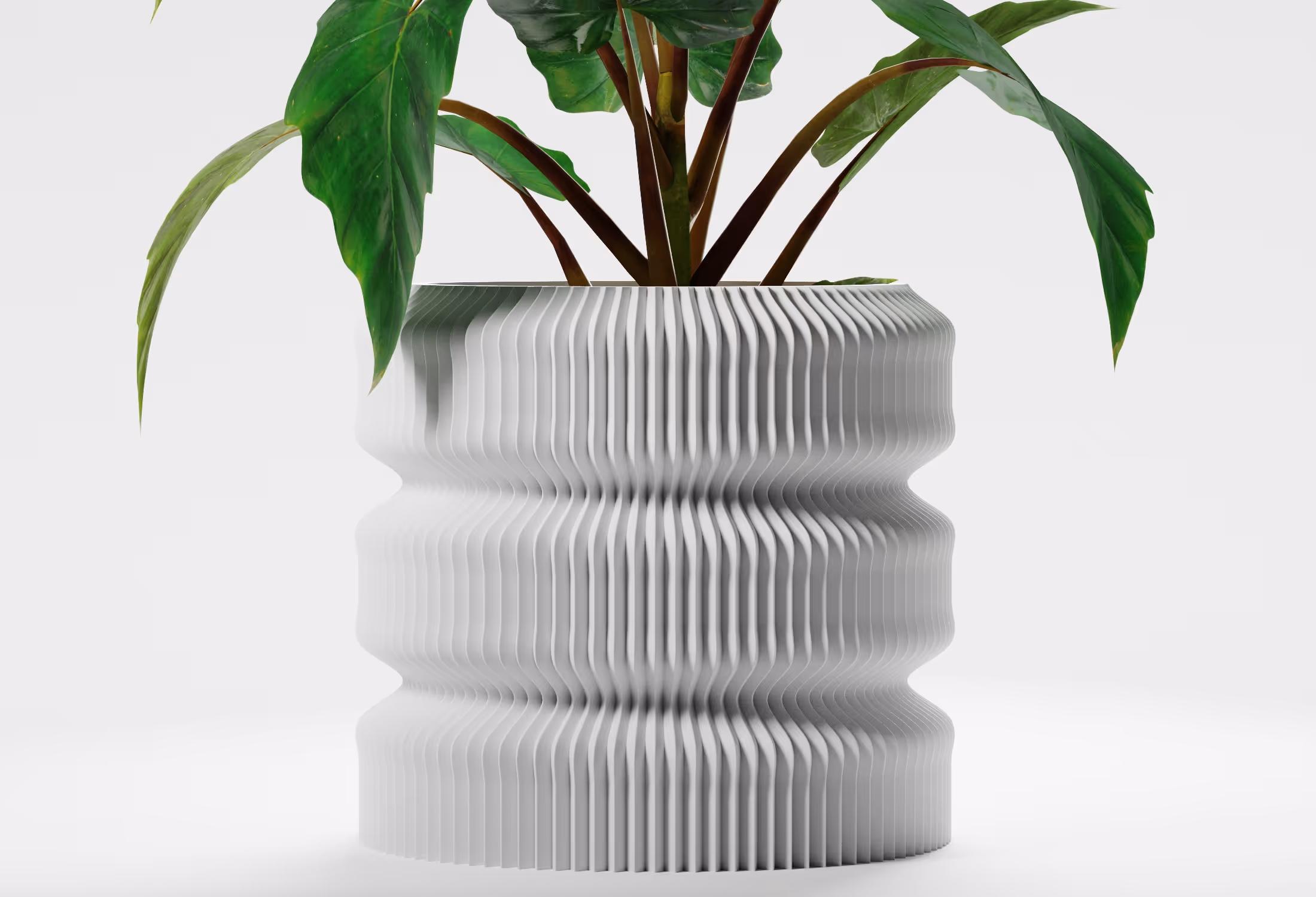 Modern white textured planter with green leafy plant on a white background.