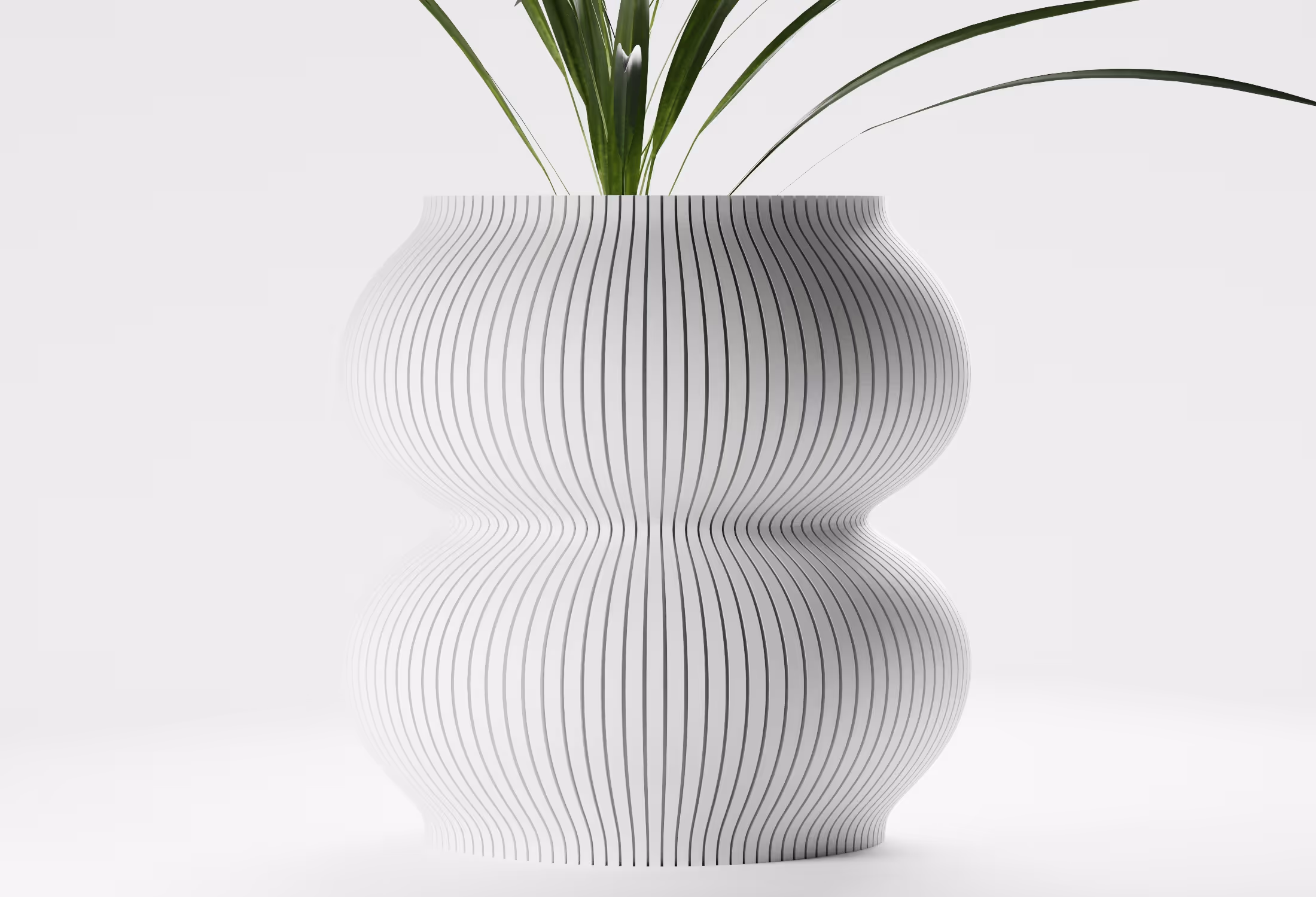 White curvy vase with vertical thin black stripes holding a green leafy plant on a white background.