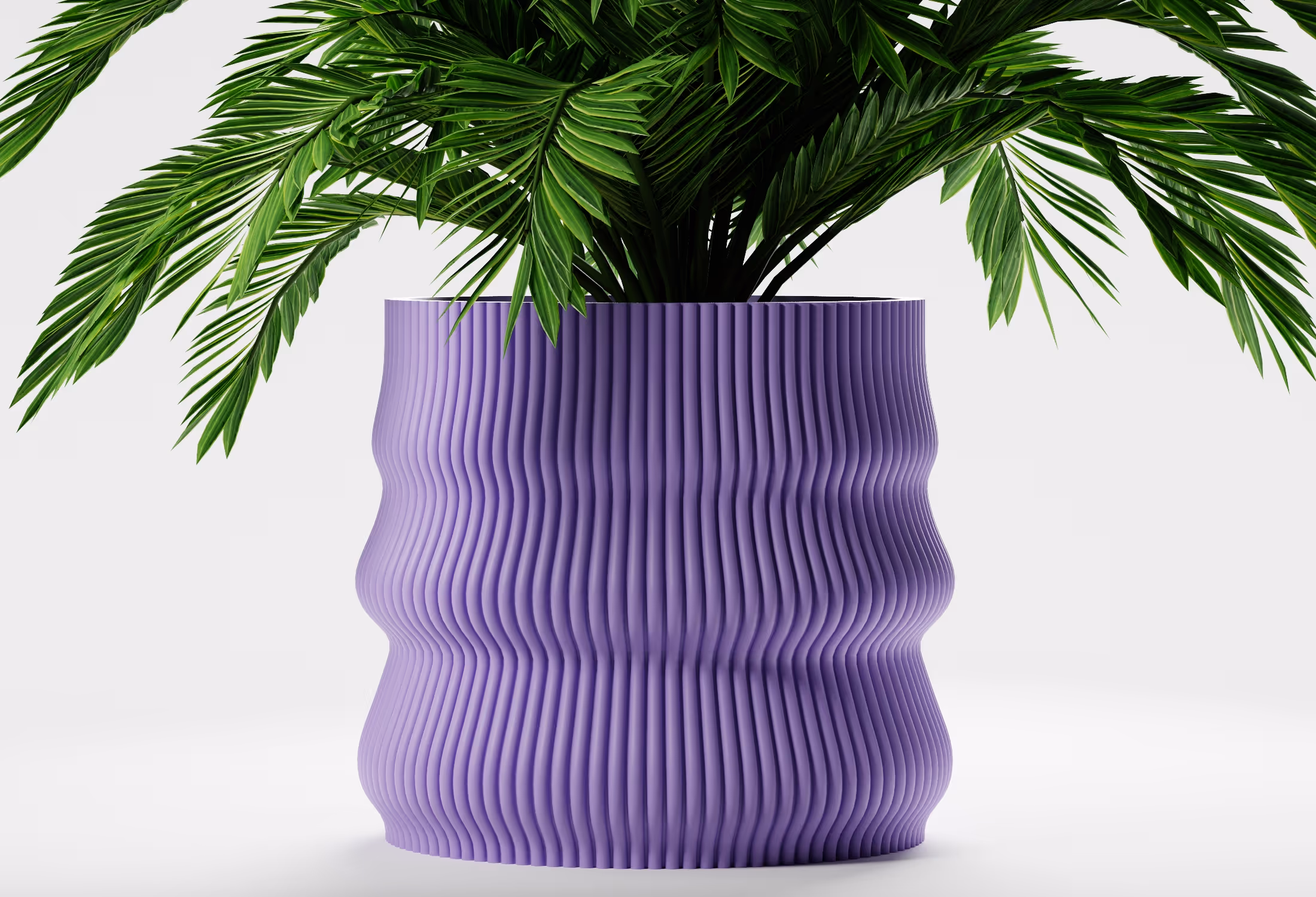 Green leafy plant in a textured purple wavy pot on a white background.