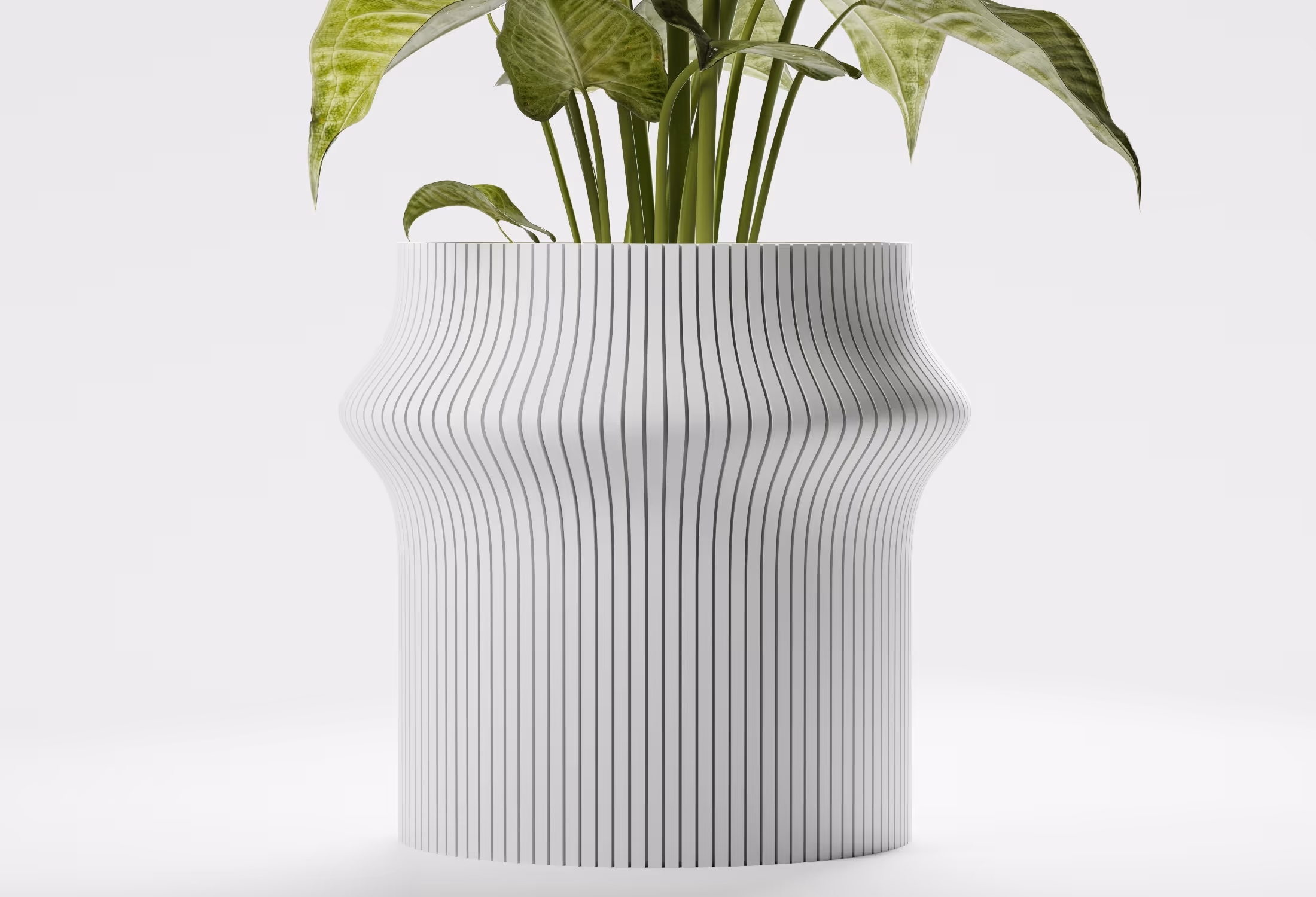 White vase with vertical black stripes and a curvy middle holding a green leafy plant.