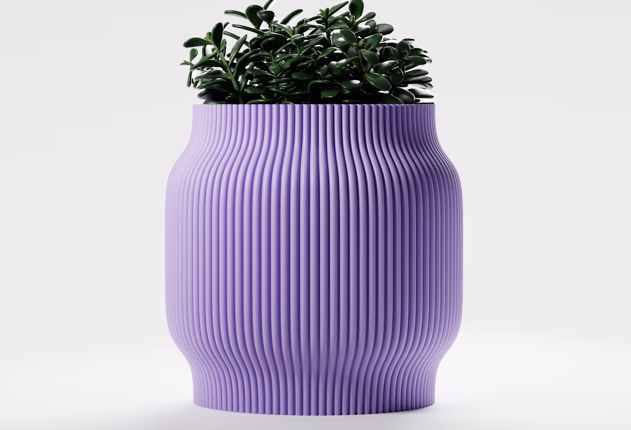 Green leafy plant in a purple ribbed textured pot on a white background.