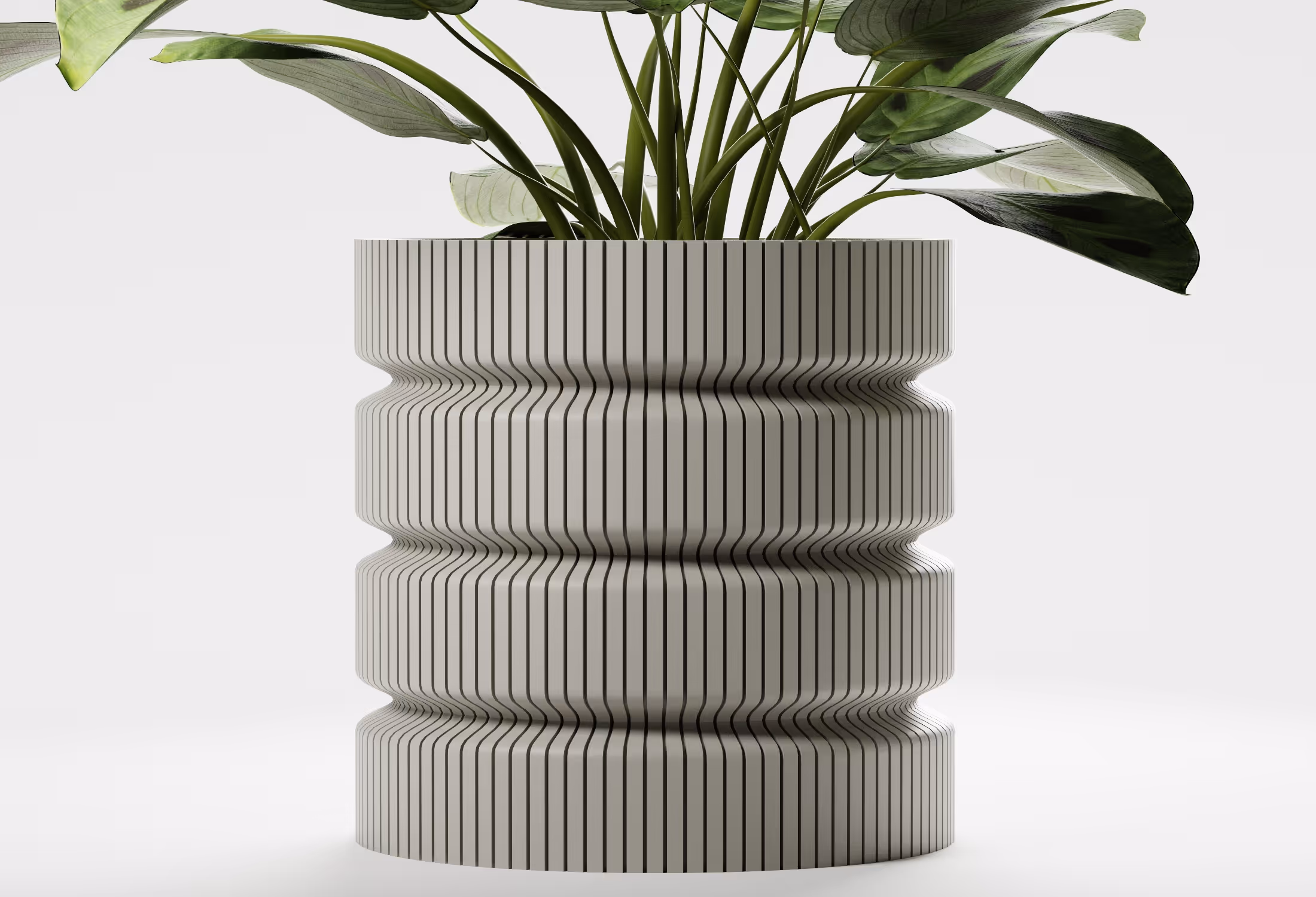Modern gray ceramic planter with vertical ridges holding large green leafy plant.