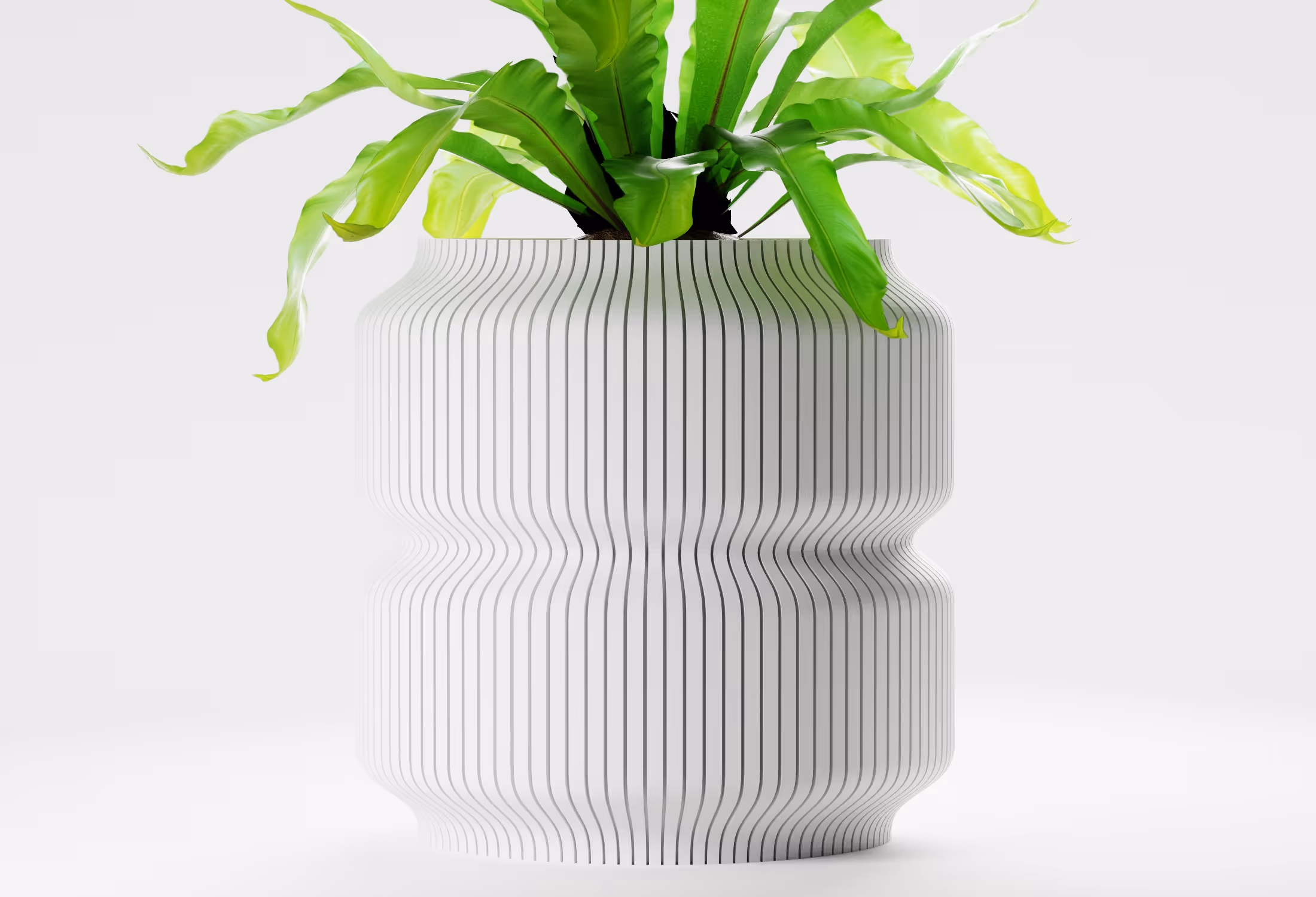 White vase with vertical black stripes holding a green leafy plant on a white background.
