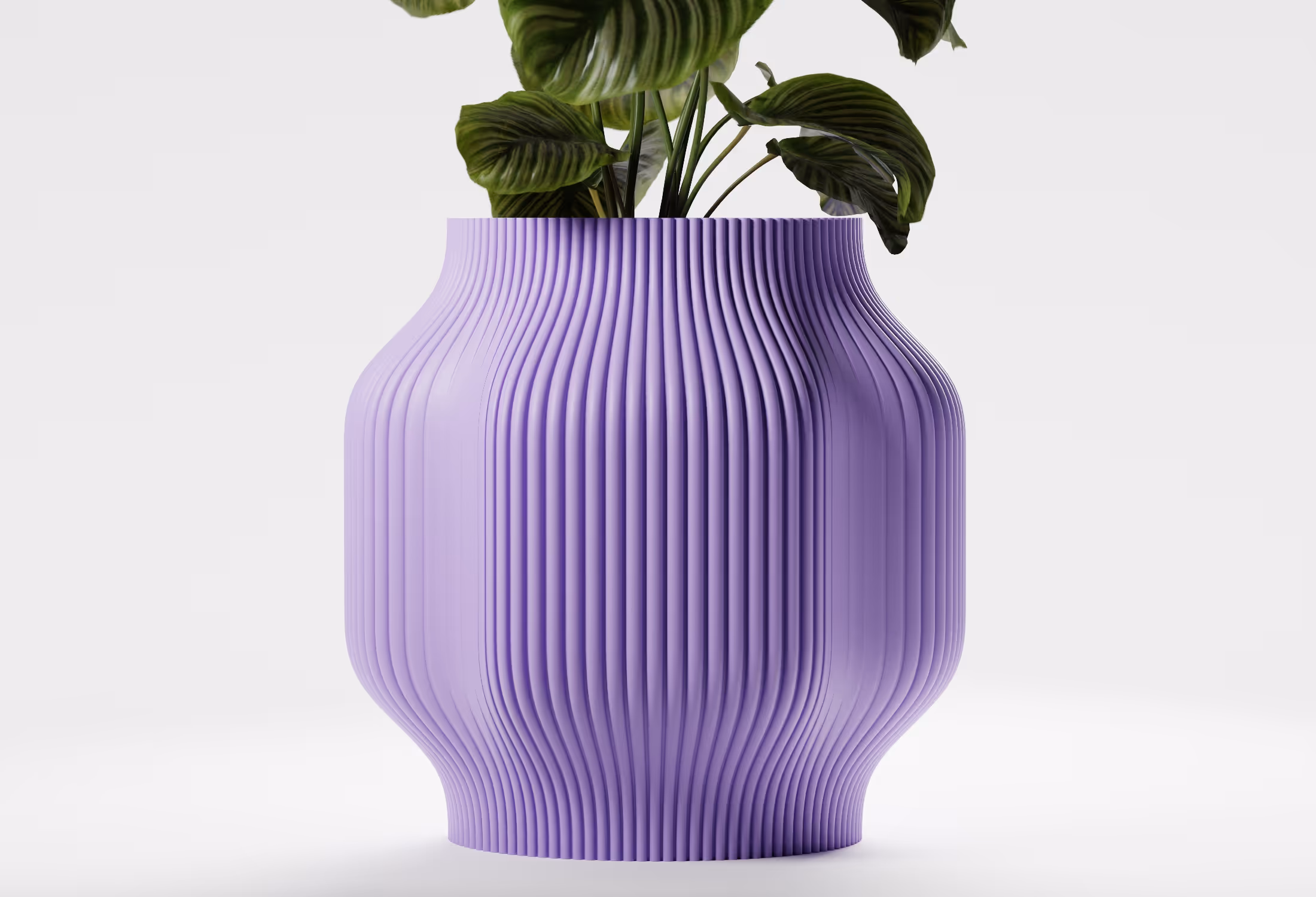 Purple ribbed ceramic vase with green leafy plant on white background.