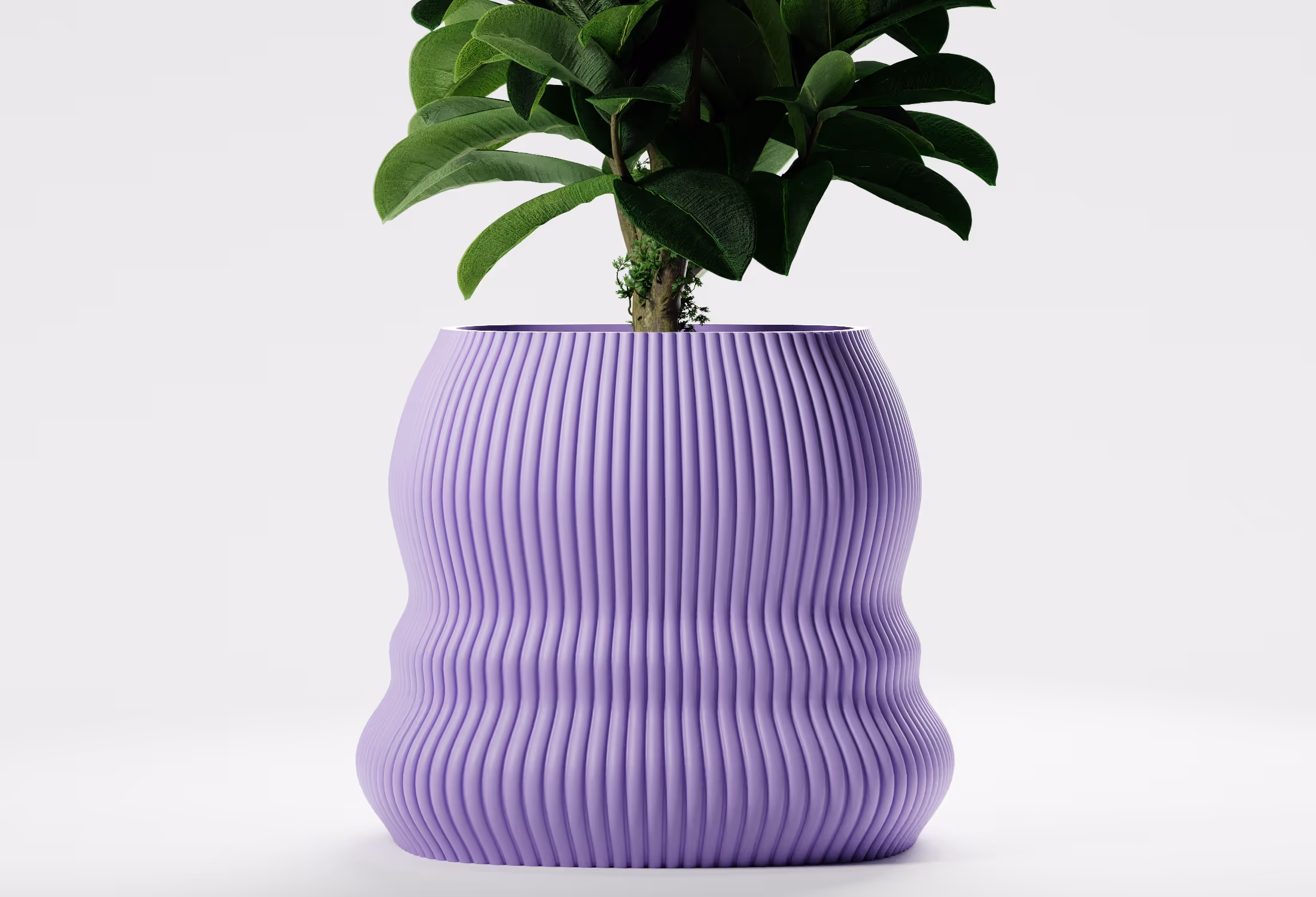 Green leafy plant in a textured purple ribbed pot on a white background.