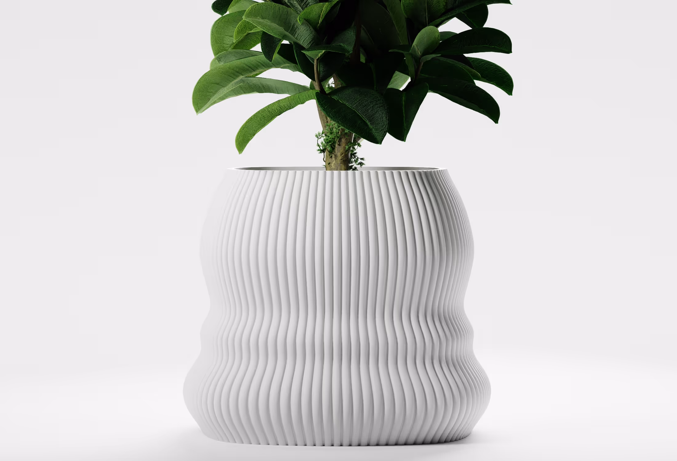 Green-leafed plant in a white wavy textured modern round pot against a plain background.