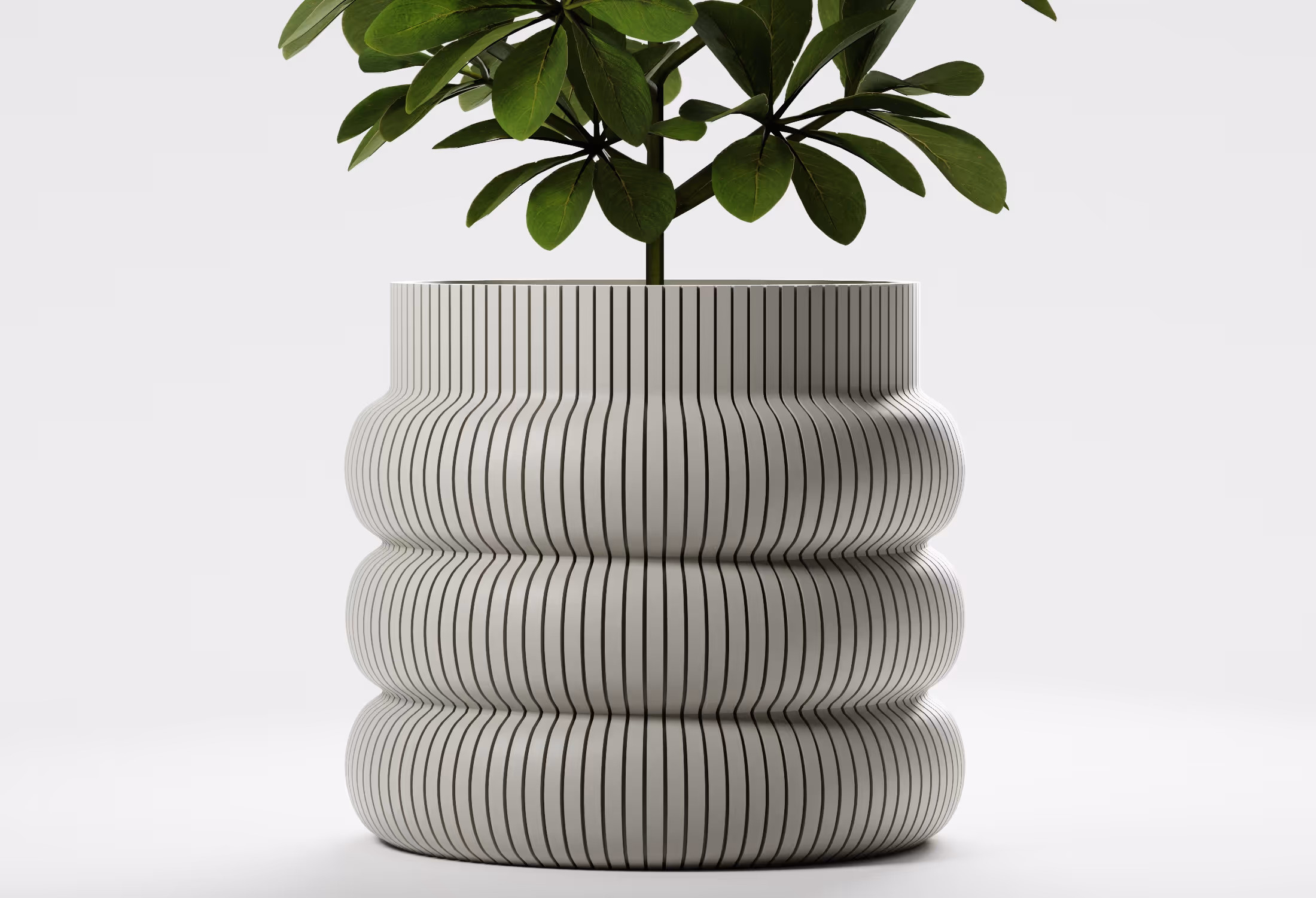 Green leafy plant in a bulbous, vertical-striped gray pot on a light background.