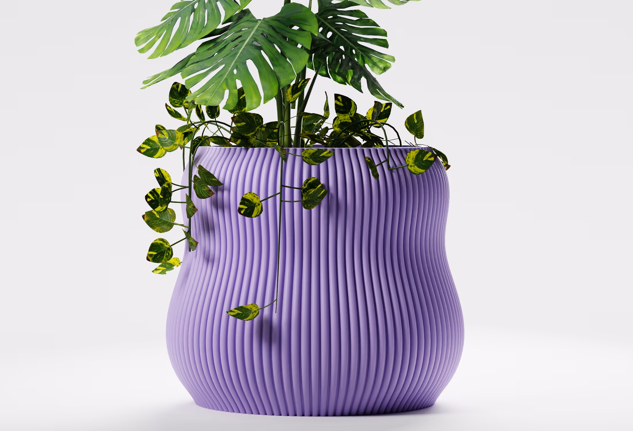 Green leafy plants in a wavy-patterned purple planter on a white background.
