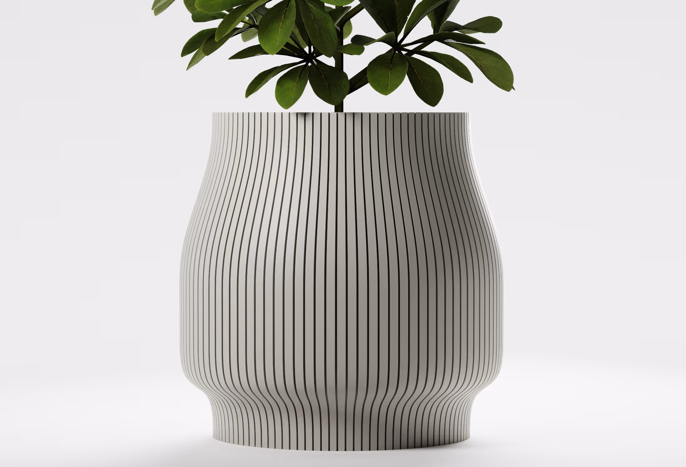Modern white vase with thin vertical black stripes and green leafy plant inside.